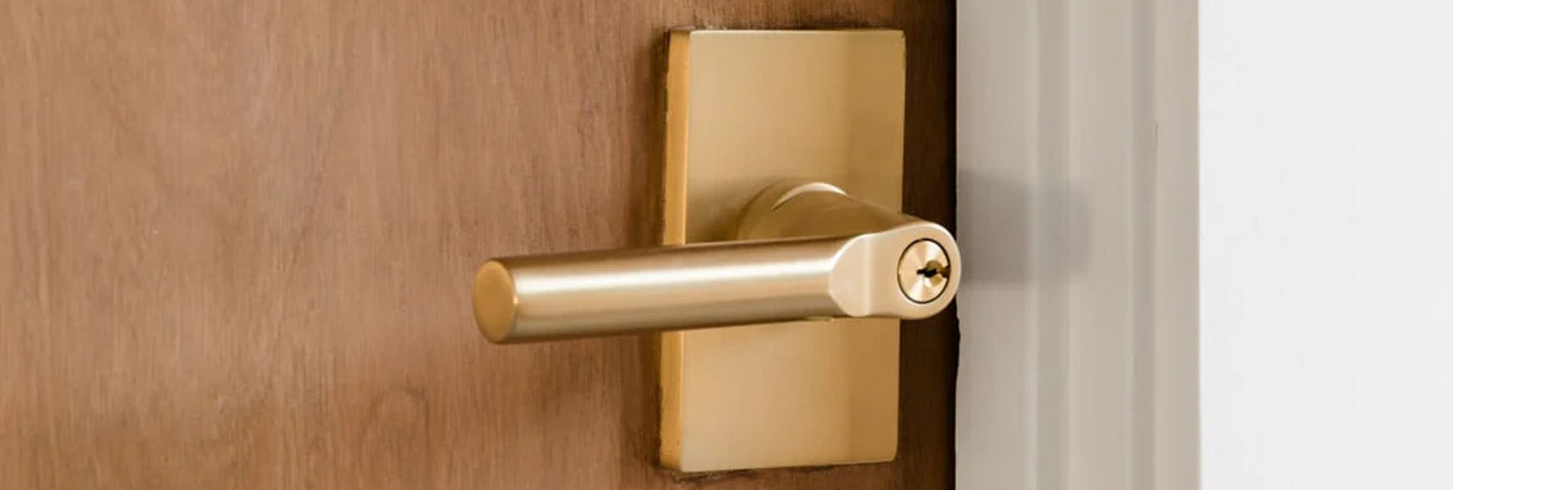 Emtek Door Handles and Levers
