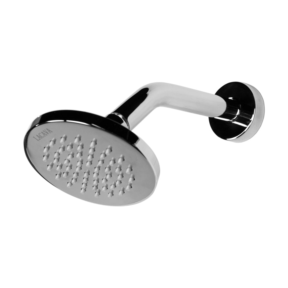 polished chrome shower head