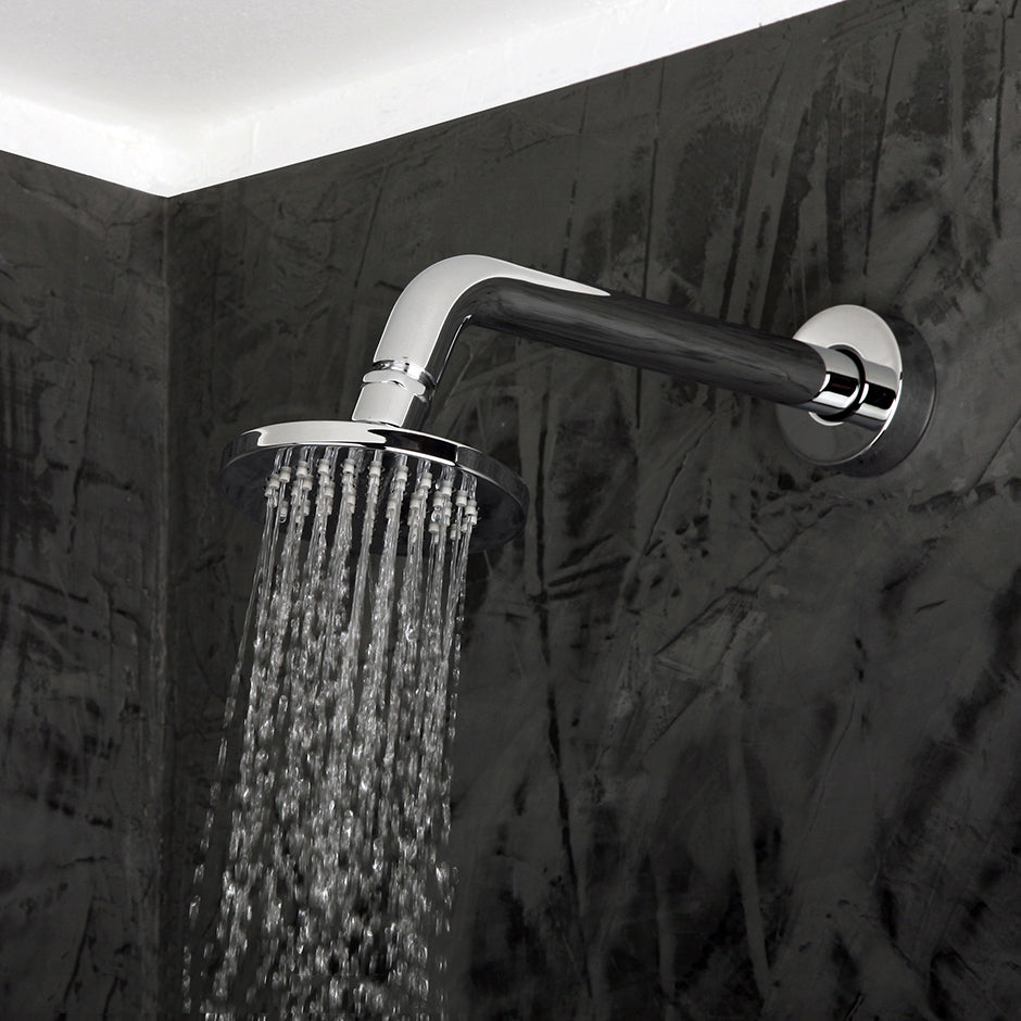 polished chrome shower head