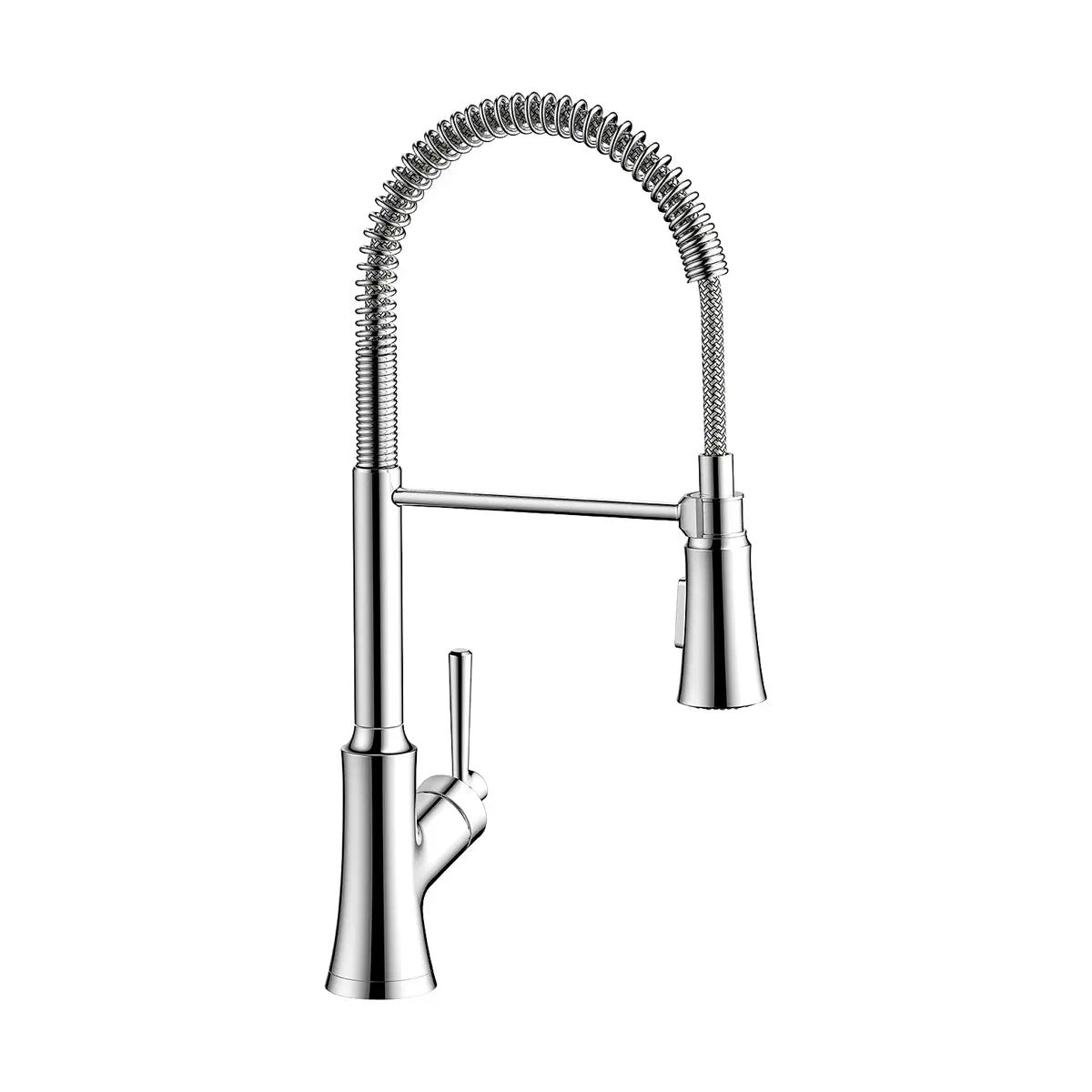 Hansgrohe Joleena Semi-Pro 2-Spray Kitchen Faucet, 1.75 GPM by Hansgrohe