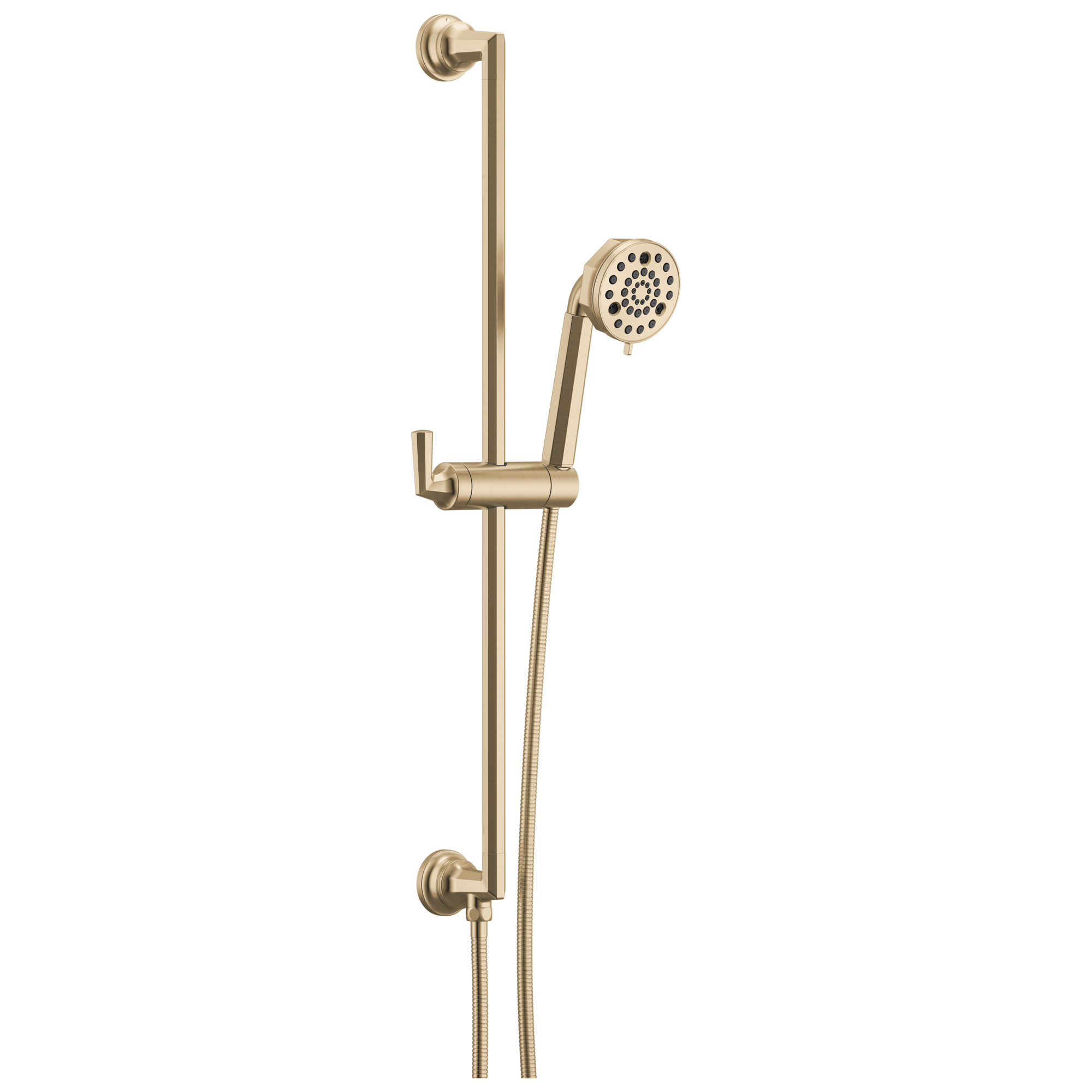 Brizo Beauclere Multi-Function Slide-Bar Hand Shower by Brizo