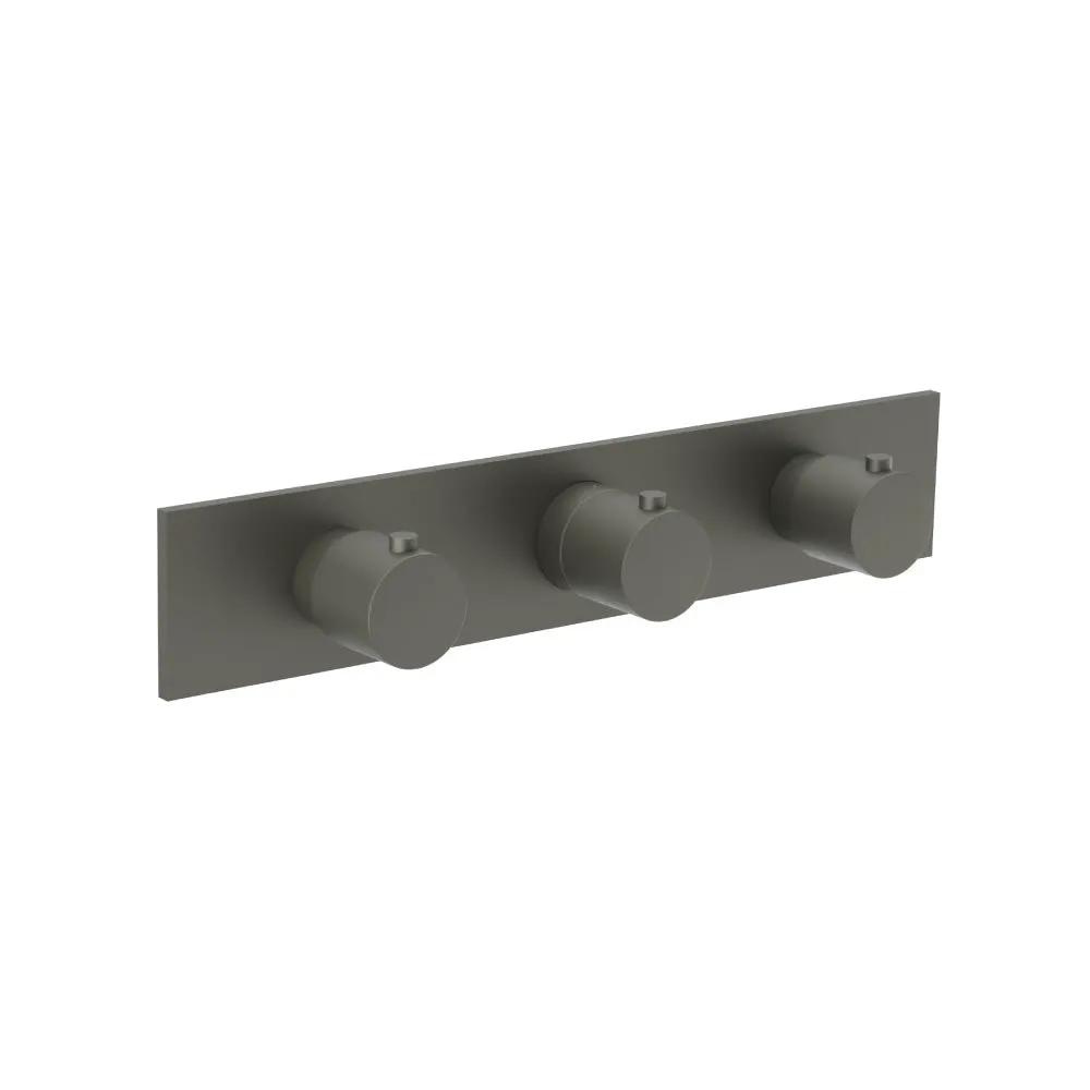 Flusso Serie 100 3/4" Horizontal Thermostatic Valve with 2 Volume Controls and Trim by Flusso