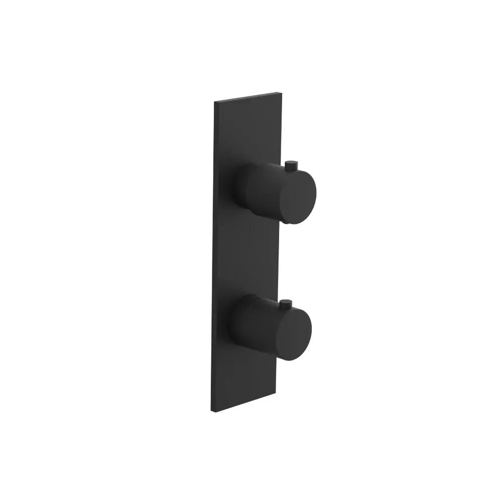 Flusso Serie 100 Trim for Thermostatic Valve by Flusso