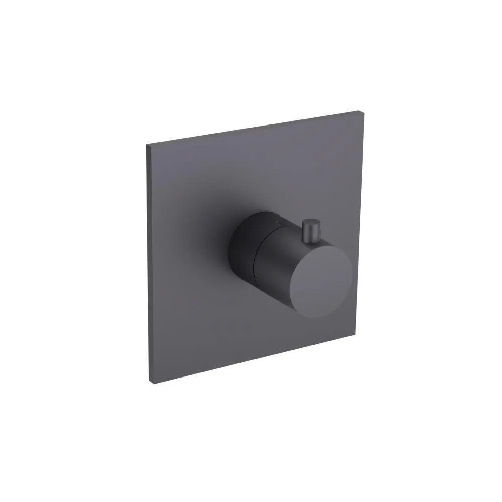 Flusso Serie 100 Trim for 3/4" Thermostatic Valve - Use with TVH.4201 by Flusso