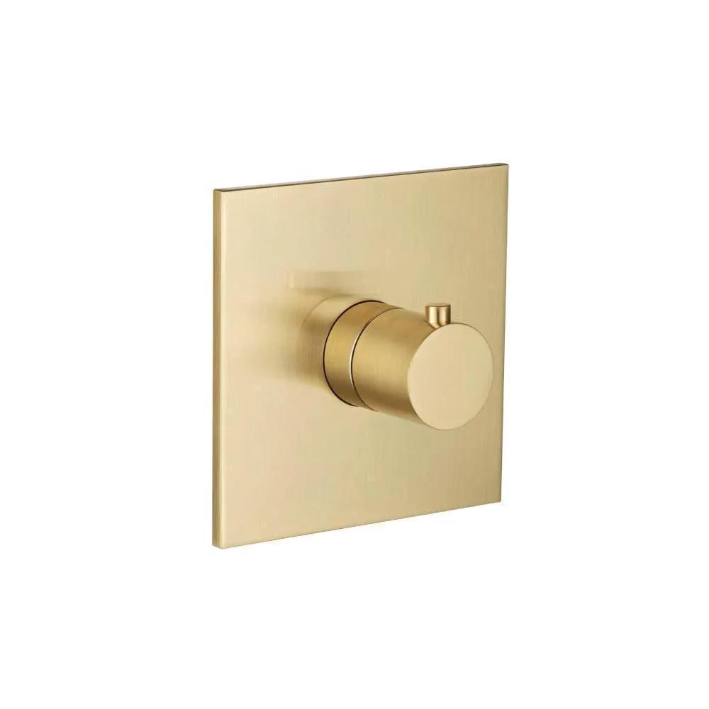 Flusso Serie 100 Trim for 3/4" Thermostatic Valve - Use with TVH.4201 by Flusso