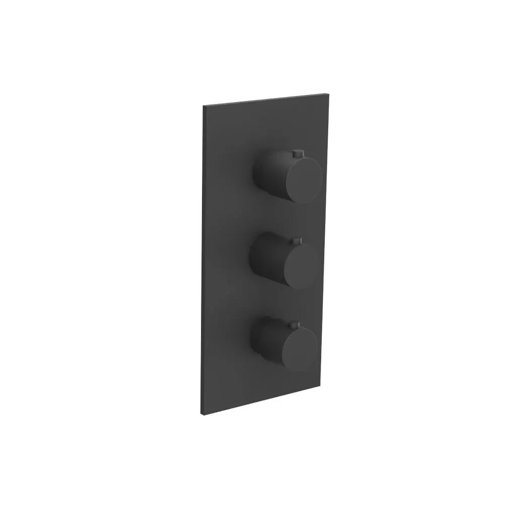 Flusso Serie 100 3/4" Thermostatic Valve and Trim - 2 Outputs by Flusso