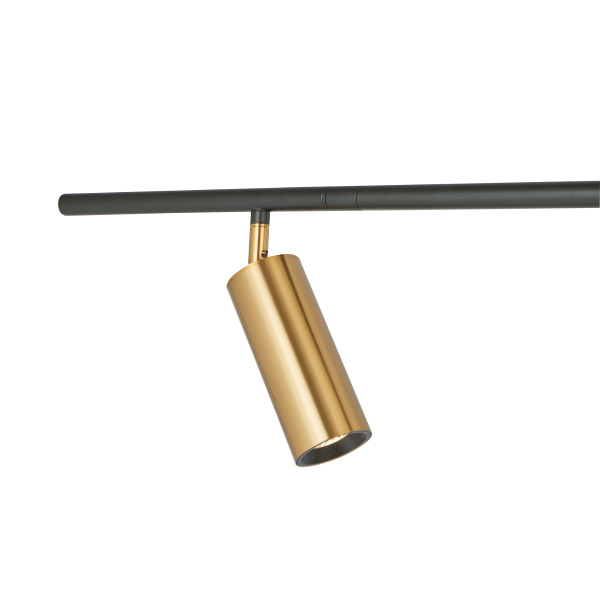 matte black/gold light