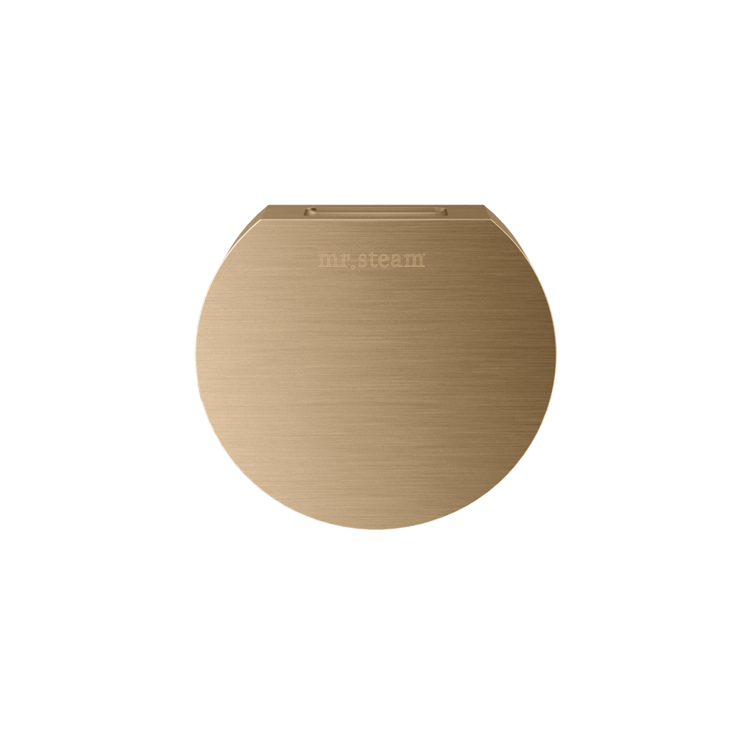 Mr Steam Designer 3" Steamhead with AromaTherapy Reservoir in Round by Mr Steam