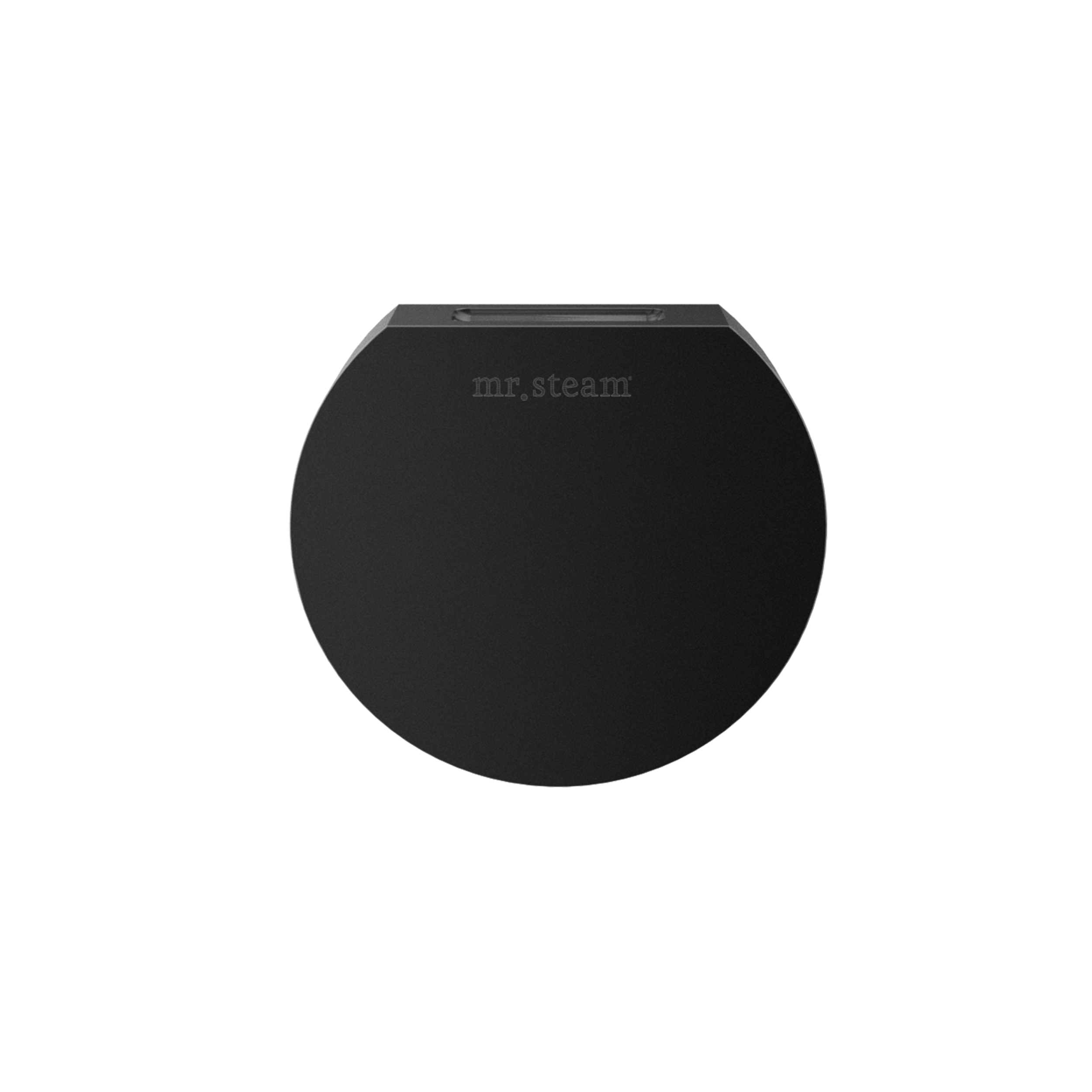 Mr Steam Designer 3" Steamhead with AromaTherapy Reservoir in Round by Mr Steam