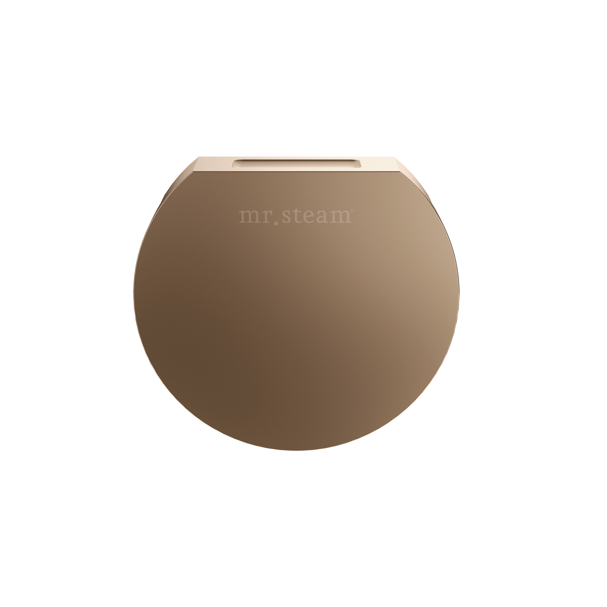 Mr Steam Designer 3" Steamhead with AromaTherapy Reservoir in Round by Mr Steam