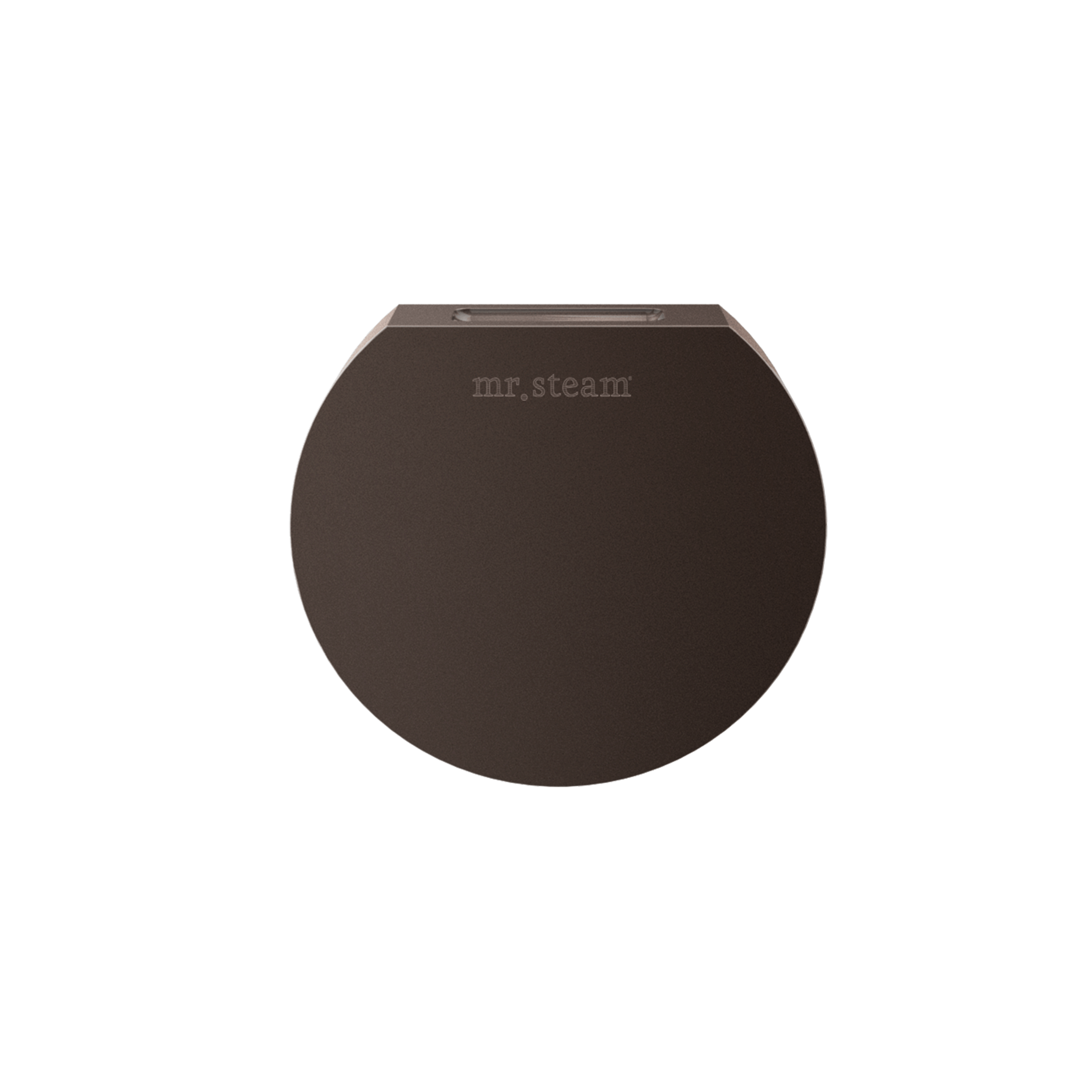 Mr Steam Designer 3" Steamhead with AromaTherapy Reservoir in Round by Mr Steam