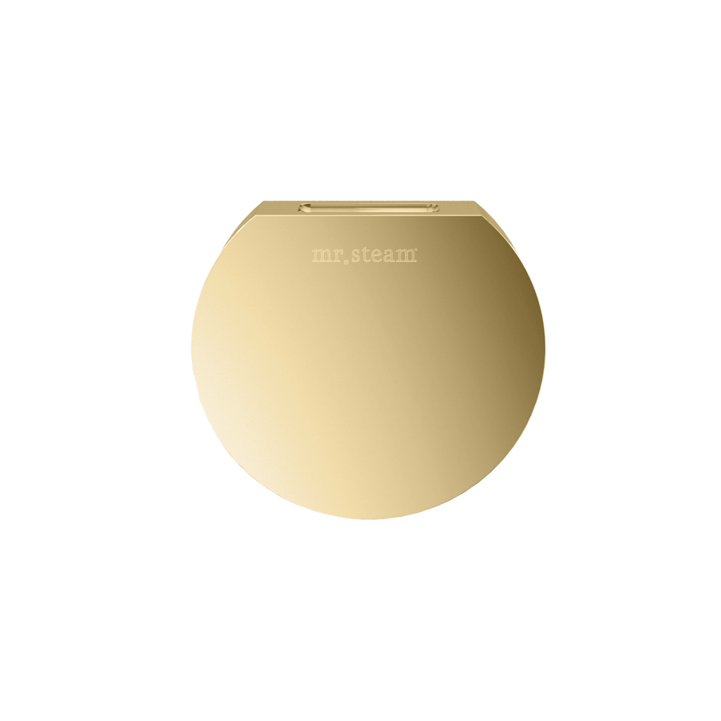 Mr Steam Designer 3" Steamhead with AromaTherapy Reservoir in Round by Mr Steam