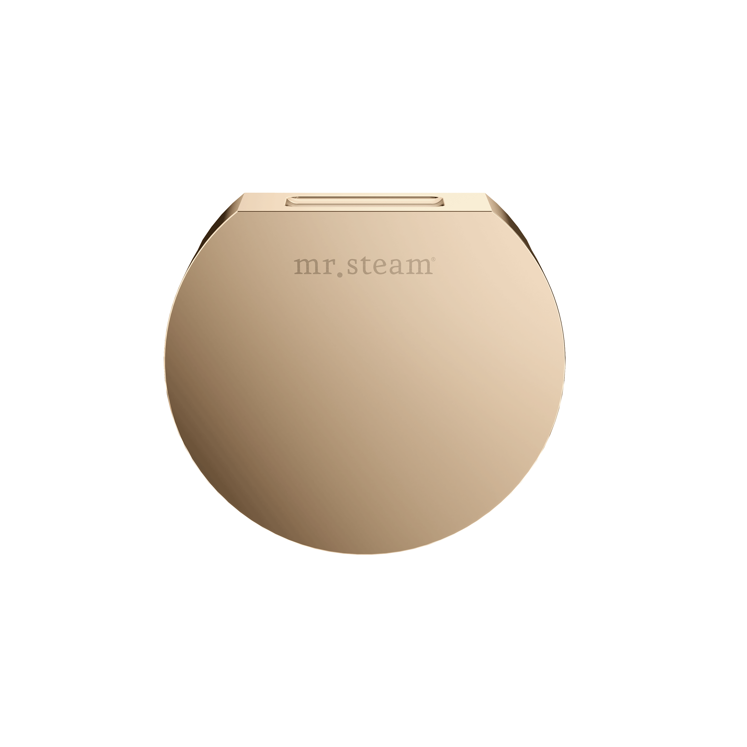 Mr Steam Designer 3" Steamhead with AromaTherapy Reservoir in Round by Mr Steam
