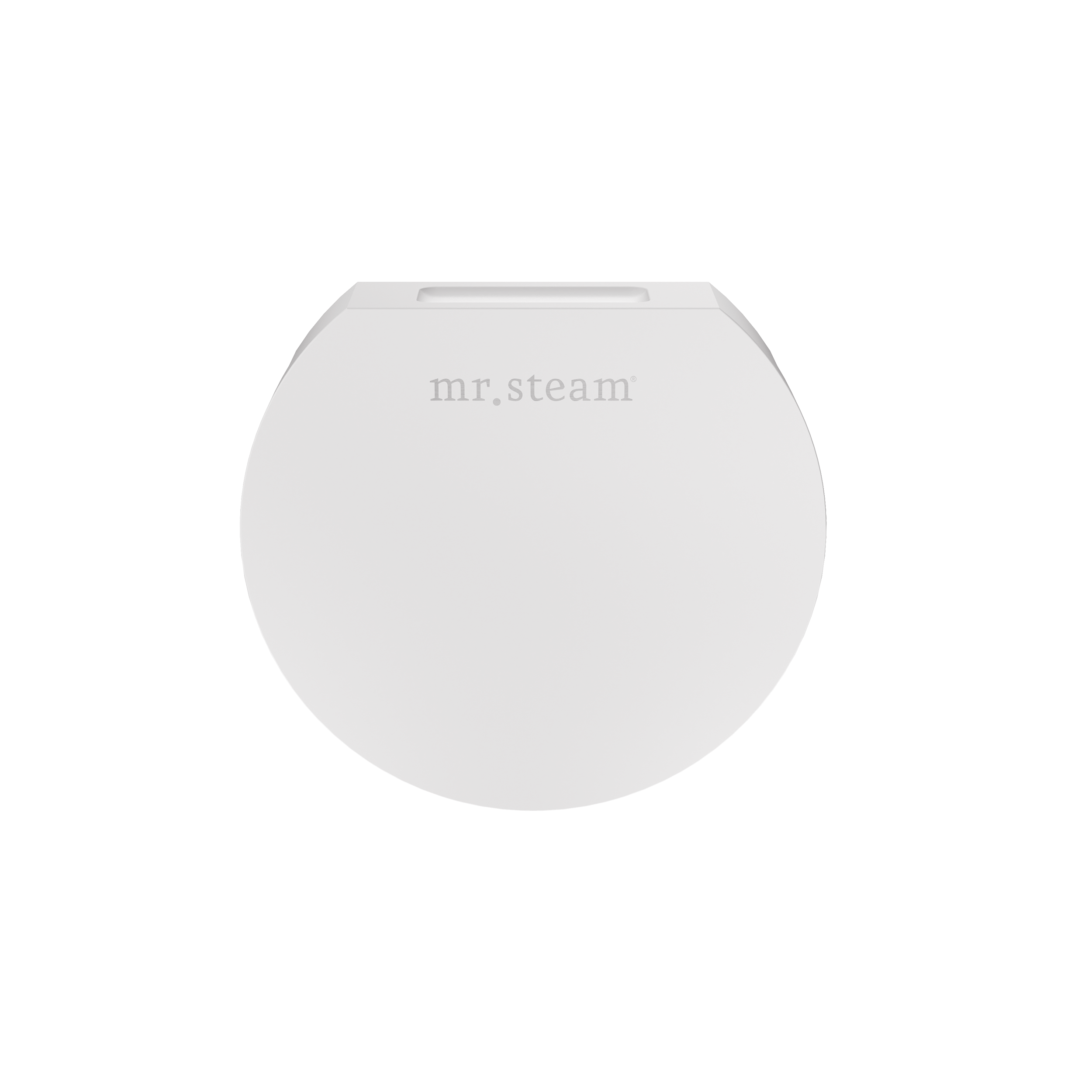 Mr Steam Designer 3" Steamhead with AromaTherapy Reservoir in Round by Mr Steam