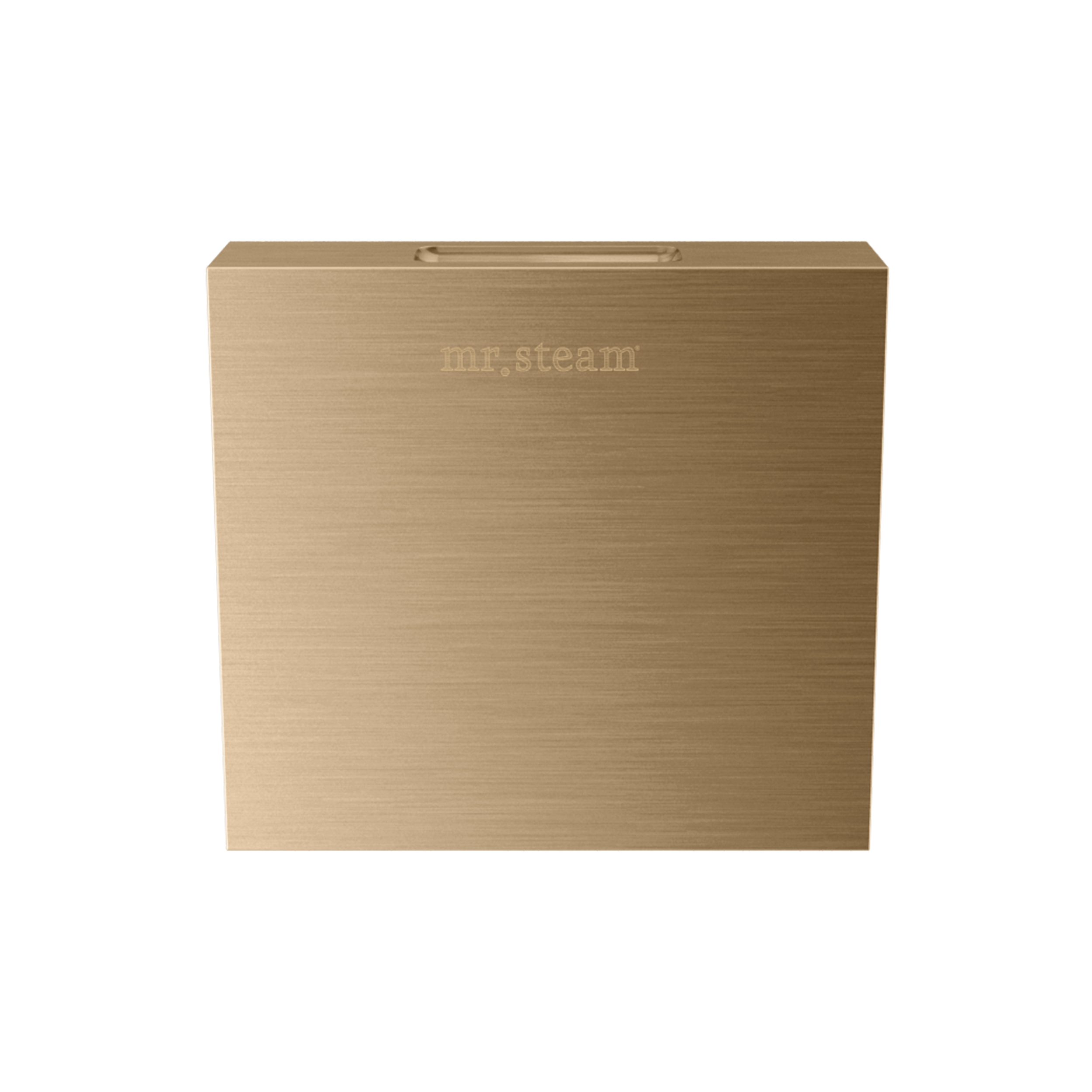 Mr Steam Designer 3" Steamhead with AromaTherapy Reservoir in Square by Mr Steam