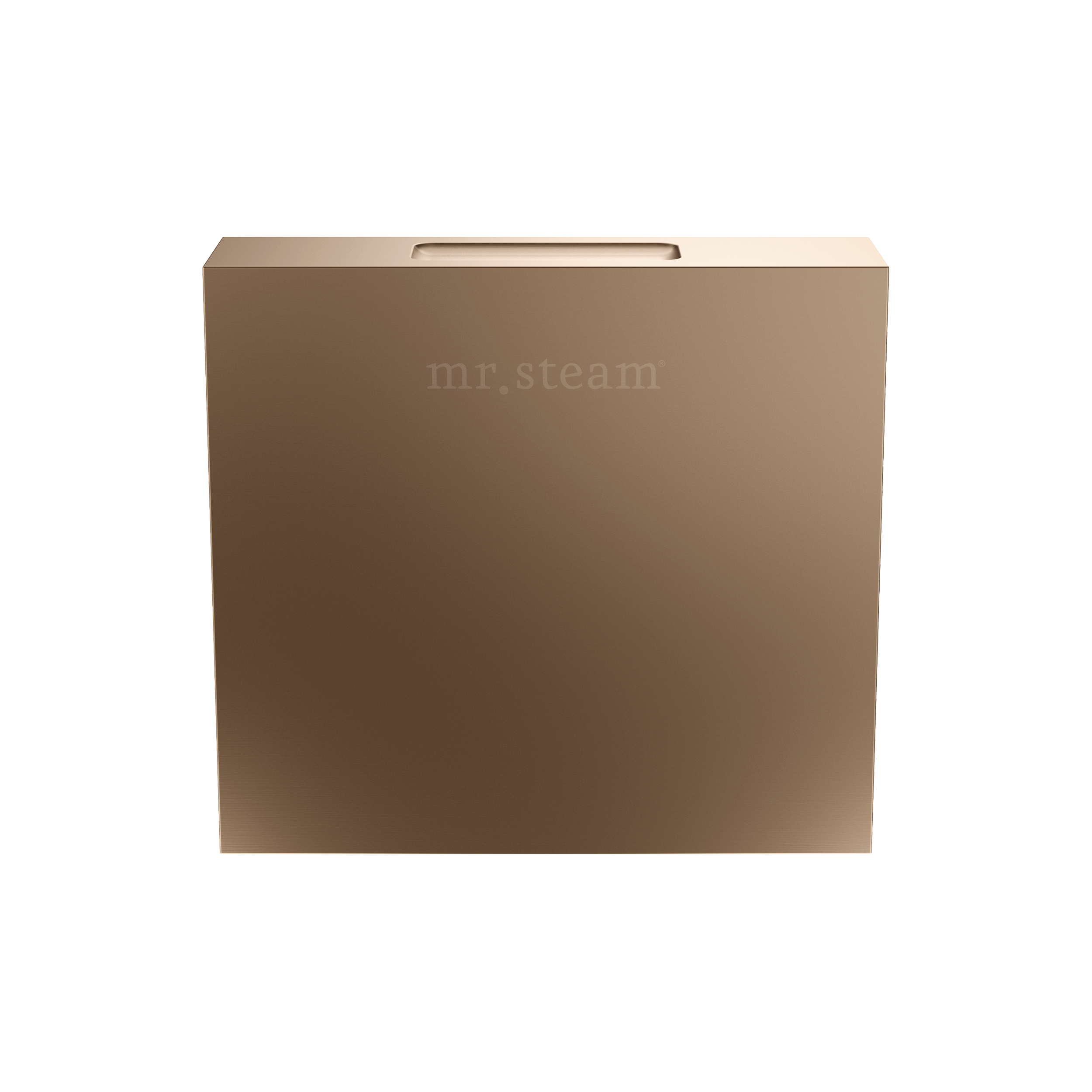 Mr Steam Designer 3" Steamhead with AromaTherapy Reservoir in Square by Mr Steam