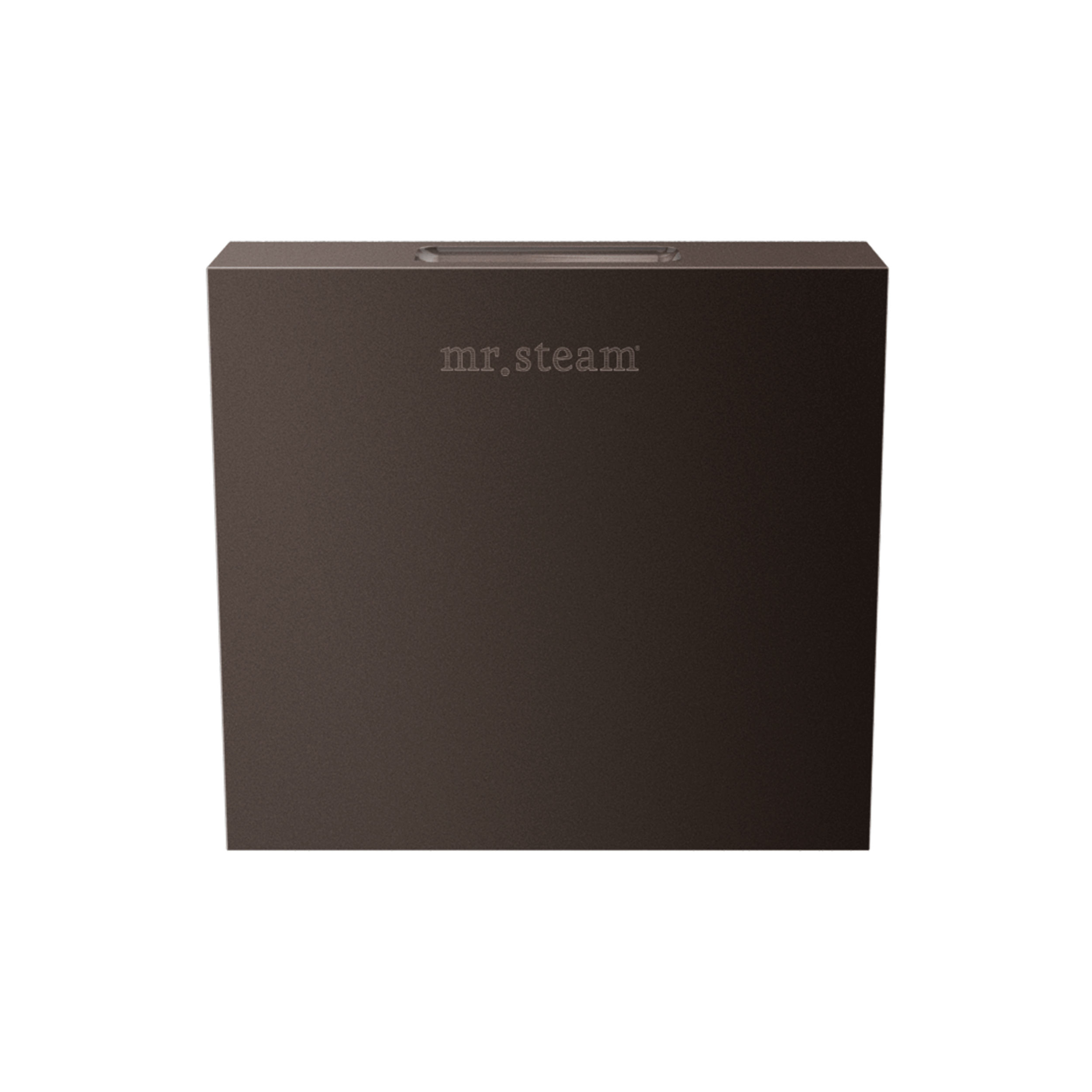 Mr Steam Designer 3" Steamhead with AromaTherapy Reservoir in Square by Mr Steam