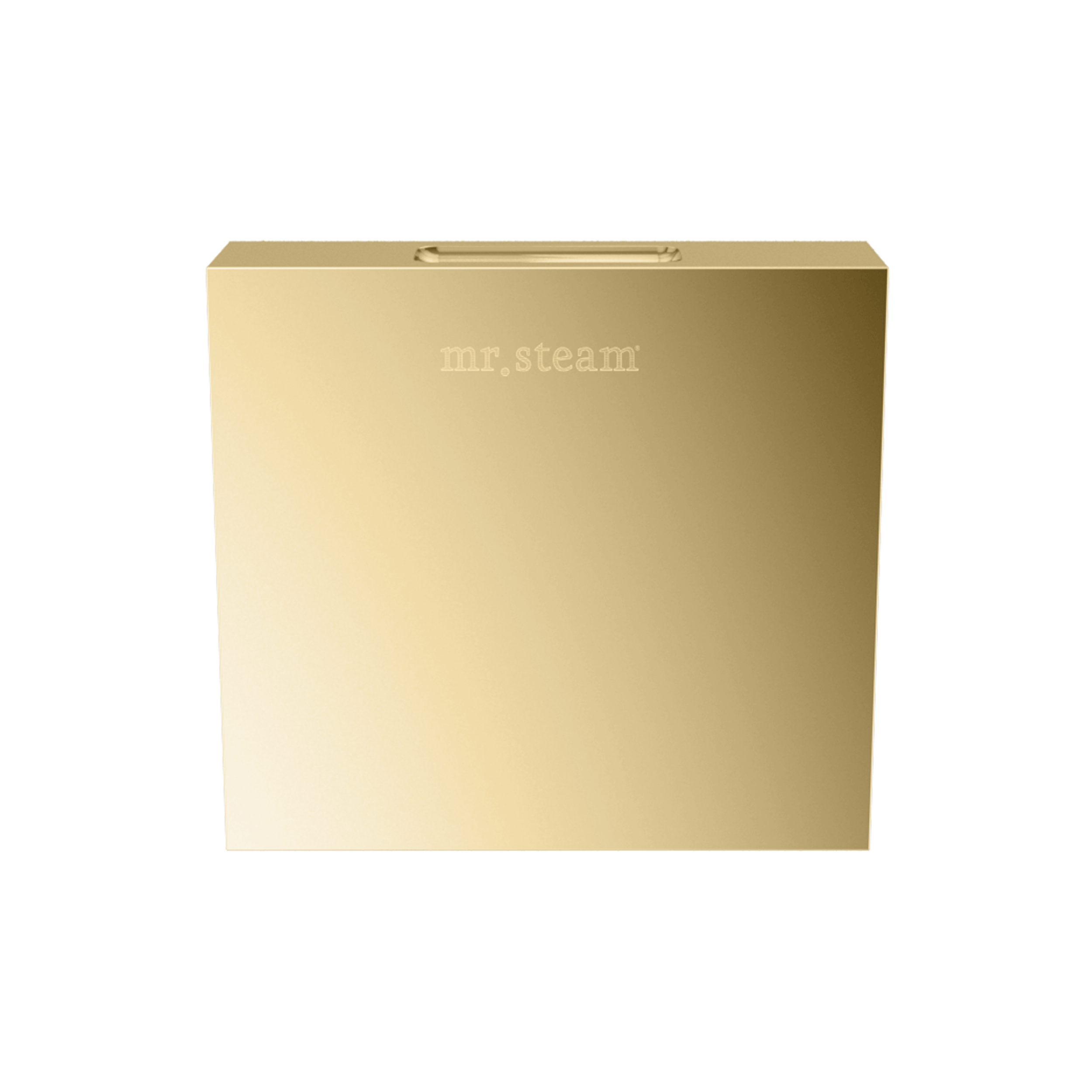 Mr Steam Designer 3" Steamhead with AromaTherapy Reservoir in Square by Mr Steam