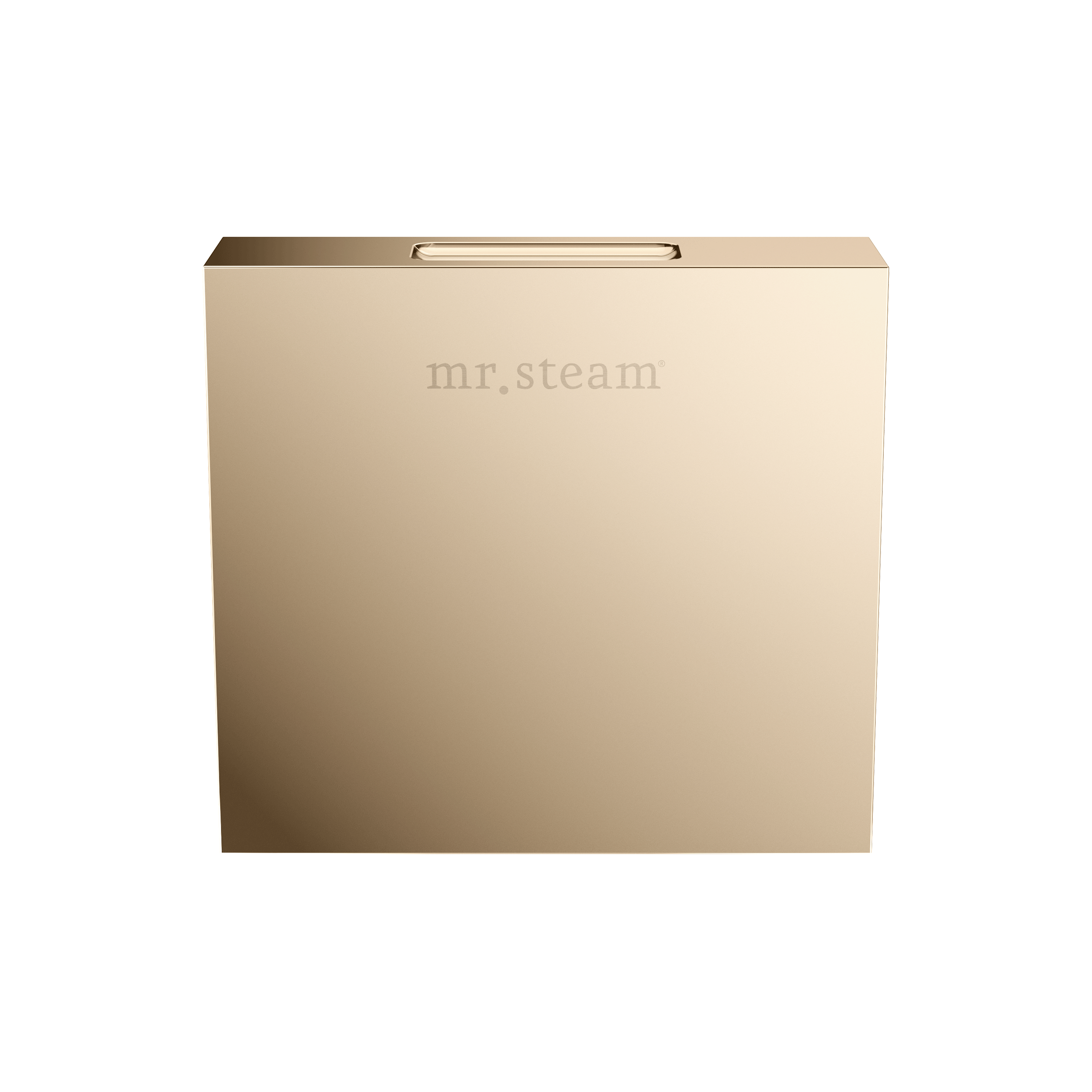 Mr Steam Designer 3" Steamhead with AromaTherapy Reservoir in Square by Mr Steam