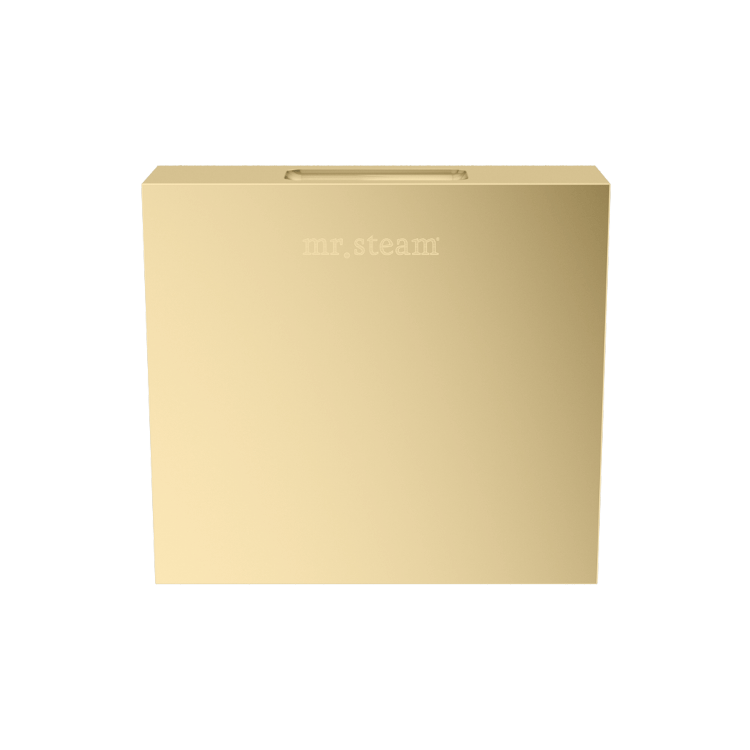 Mr Steam Designer 3" Steamhead with AromaTherapy Reservoir in Square by Mr Steam