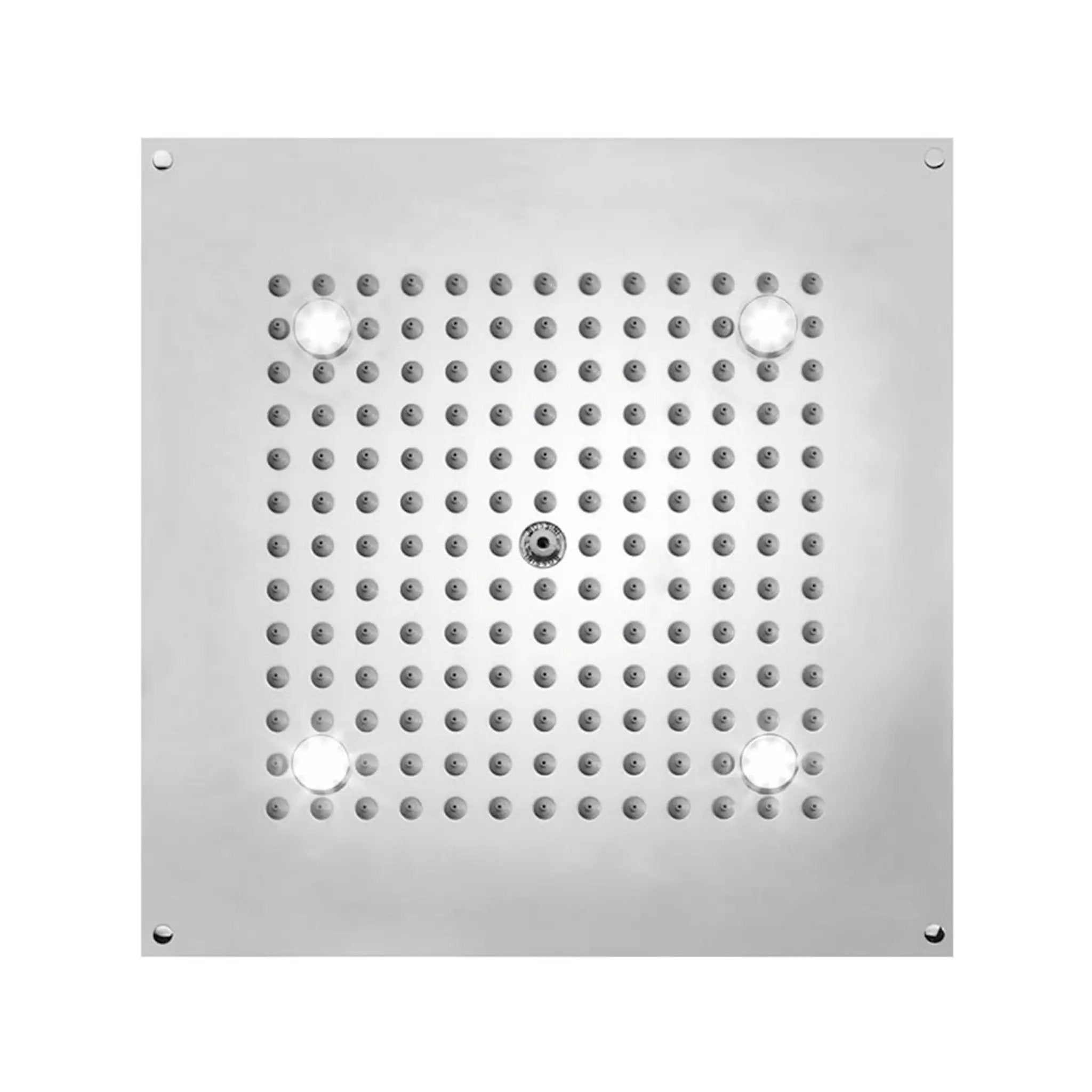 polished chrome shower head