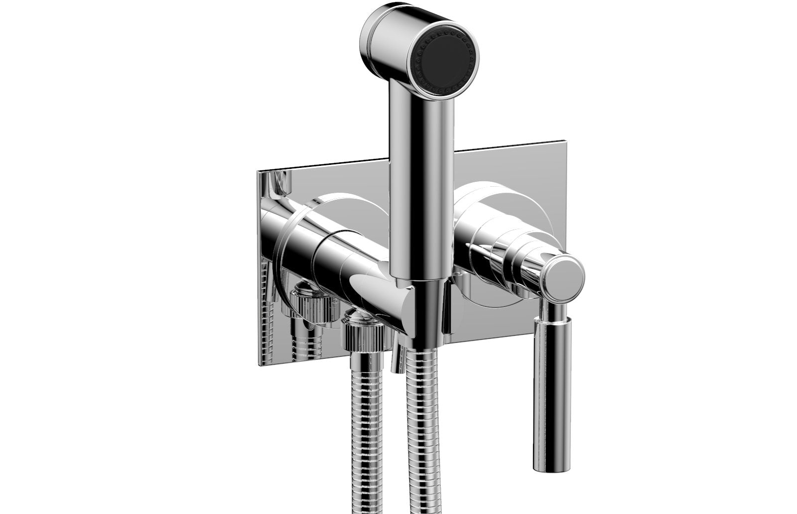 polished chrome bidet