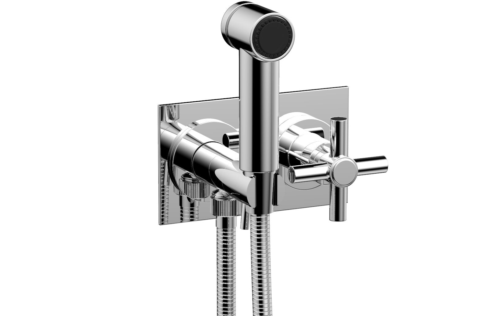 polished chrome bidet