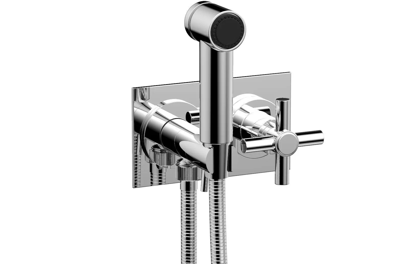 polished chrome bidet