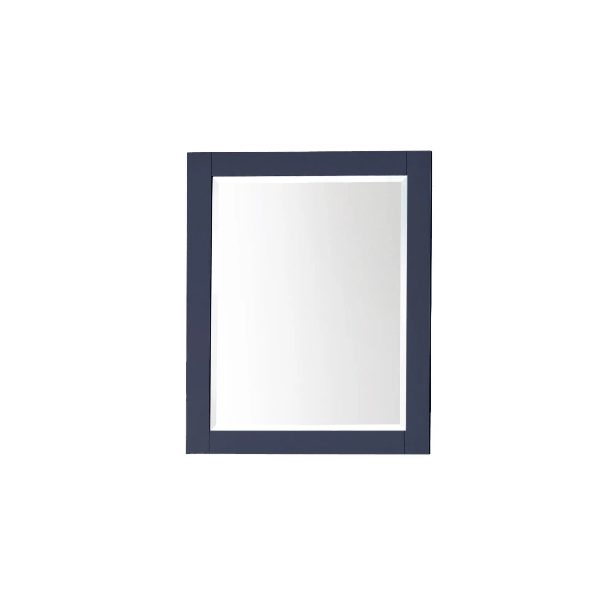 Avanity Cabinet 24 Inch Mirror by Avanity