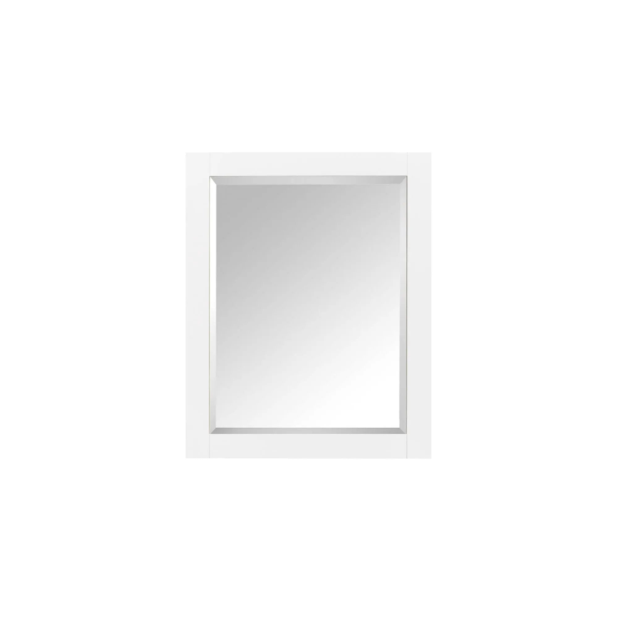 Avanity Cabinet 24 Inch Mirror by Avanity