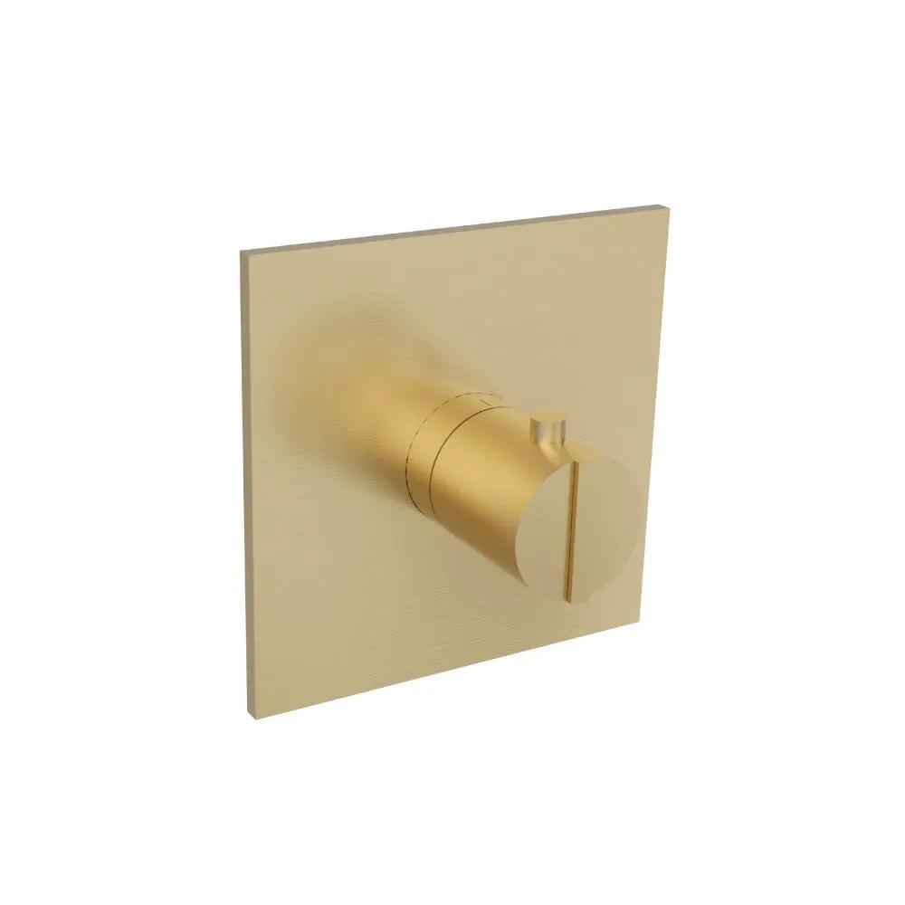 Flusso Serie 145 Trim for 3/4" Thermostatic Valve - Use with TVH.4201 by Flusso