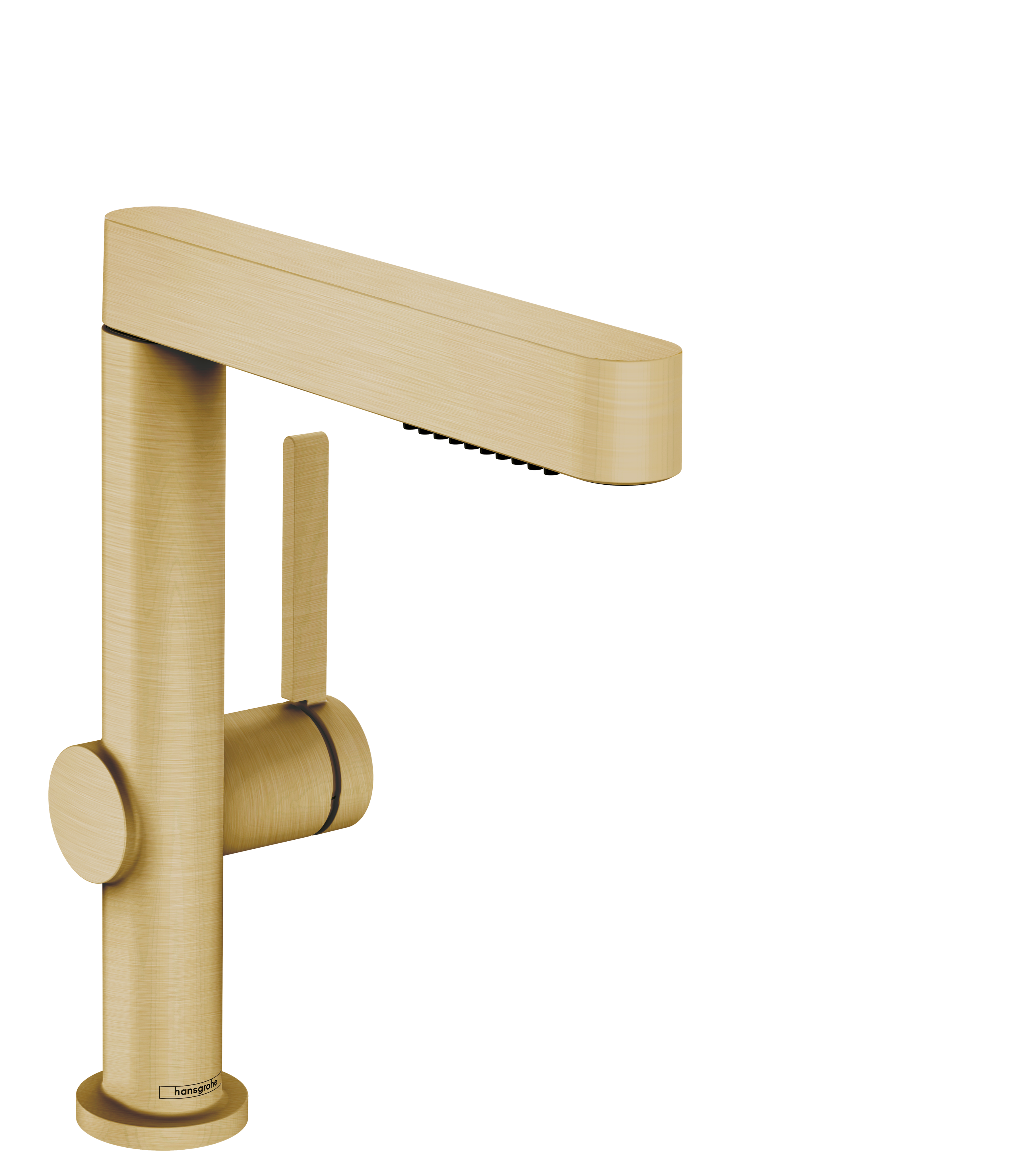 Hansgrohe Finoris Single-Hole Faucet with 2-Spray Pull-Out, 1.2 GPM by Hansgrohe