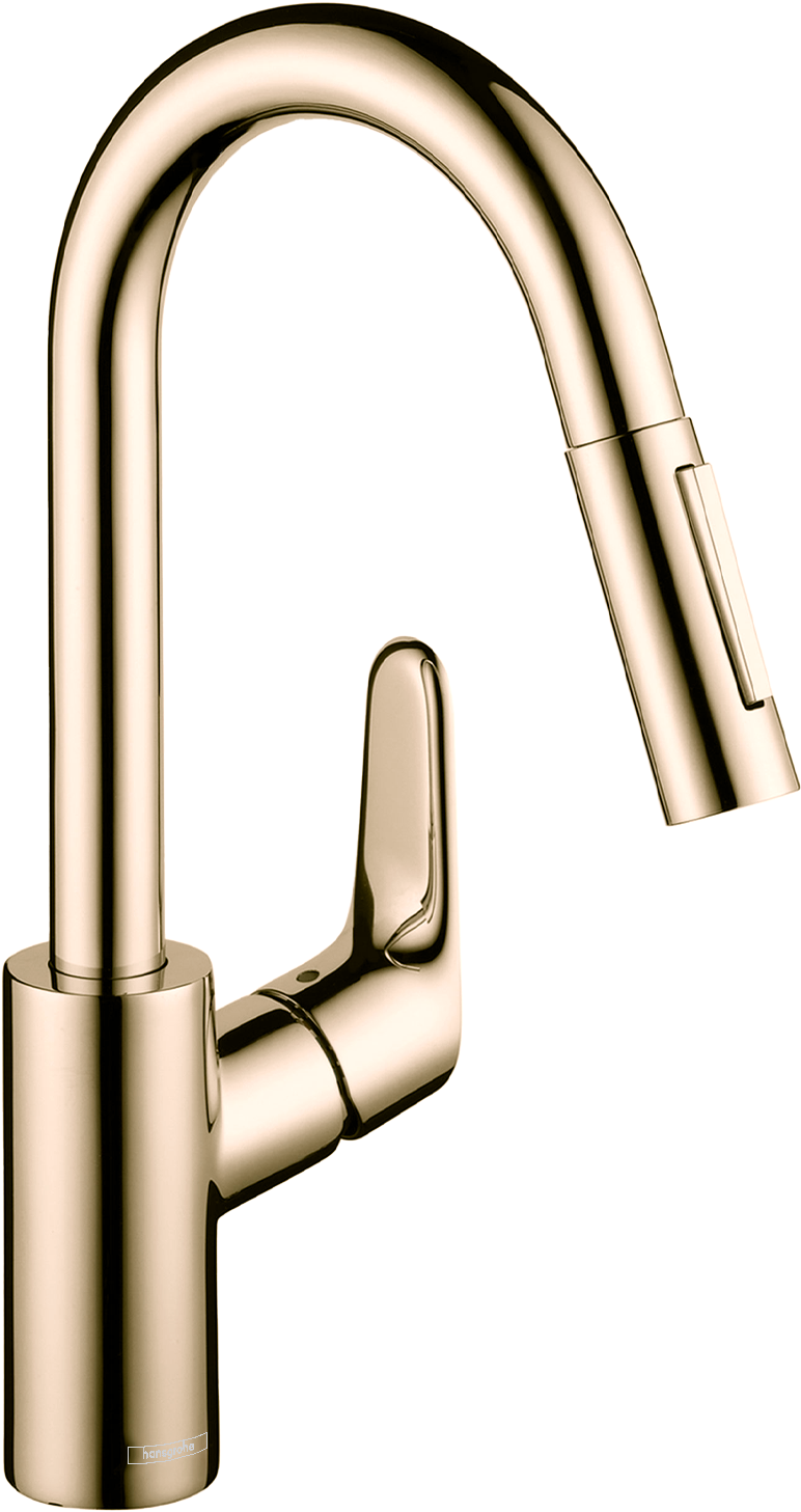 Hansgrohe Focus 2-Spray Pull-Down Prep Kitchen Faucet, 1.75 GPM by Hansgrohe