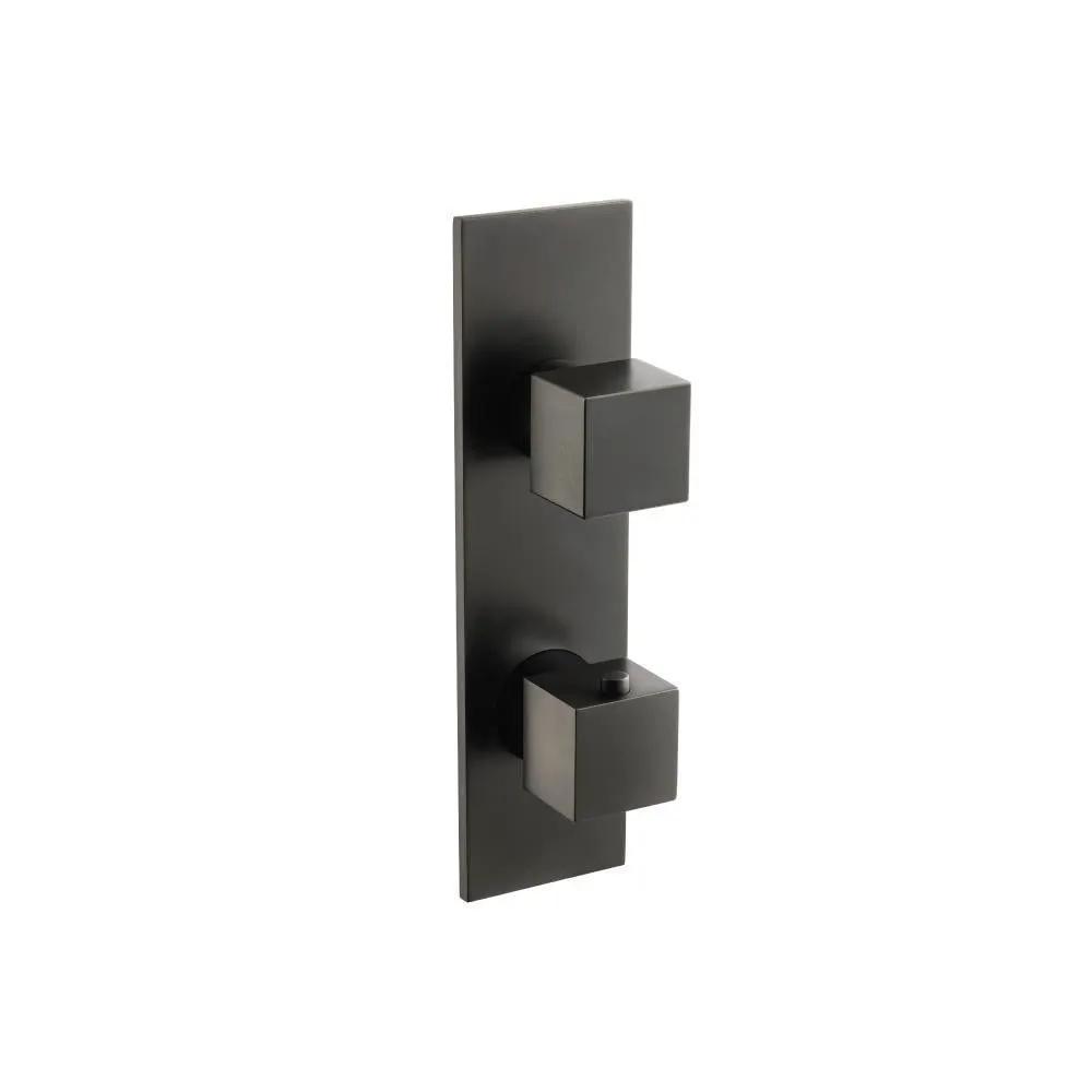 Flusso Serie 160 3/4" Thermostatic Shower Valve and Trim - 2-Output by Flusso