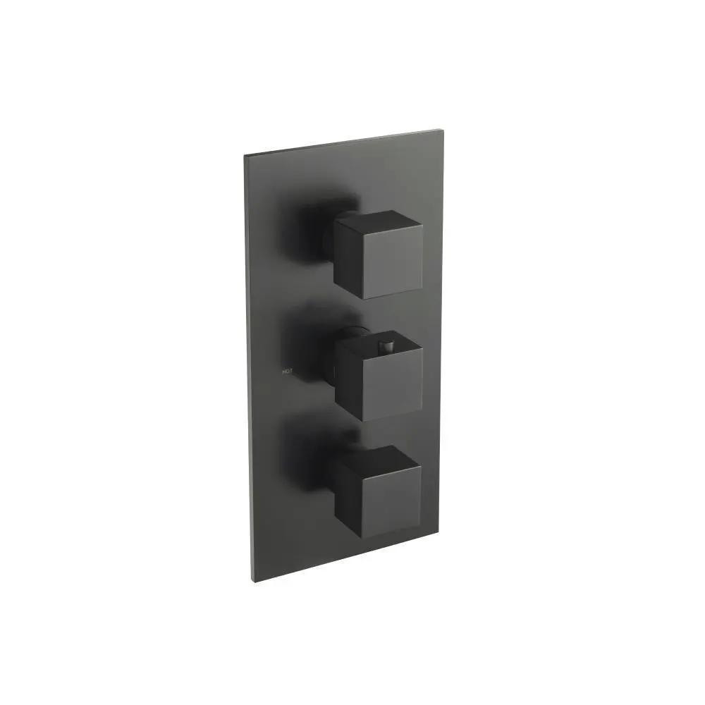 Flusso Serie 160 Trim for Thermostatic Valve by Flusso