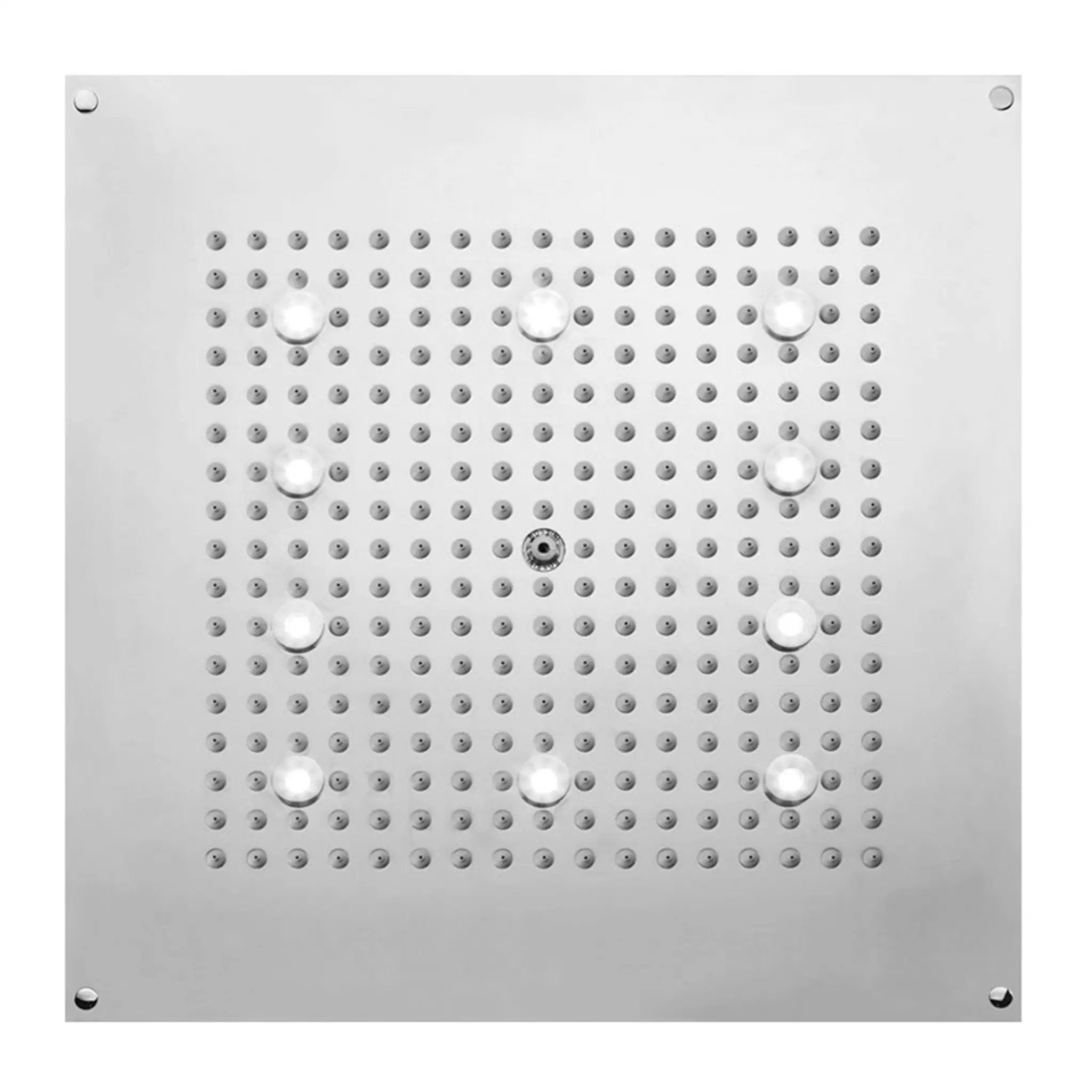 polished chrome shower head