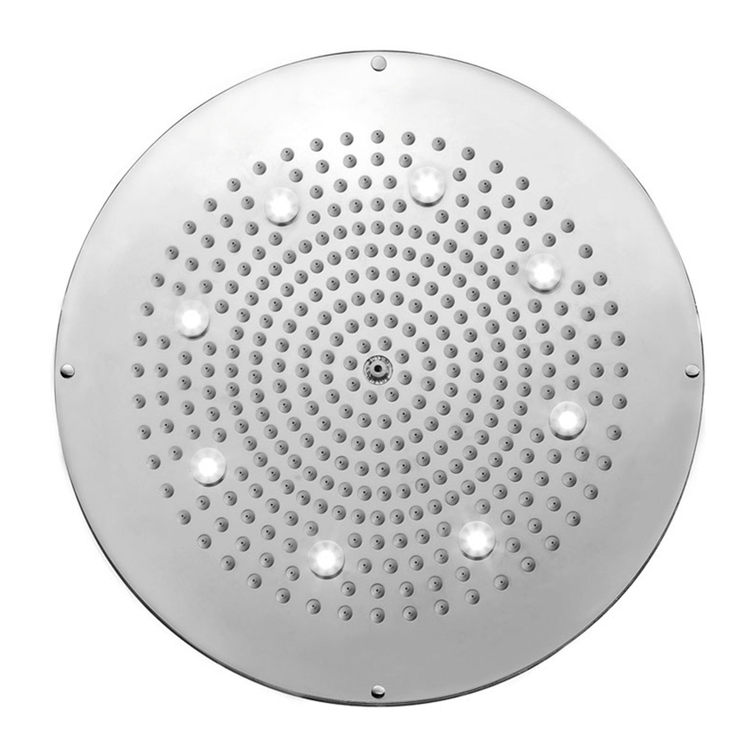 polished chrome shower head