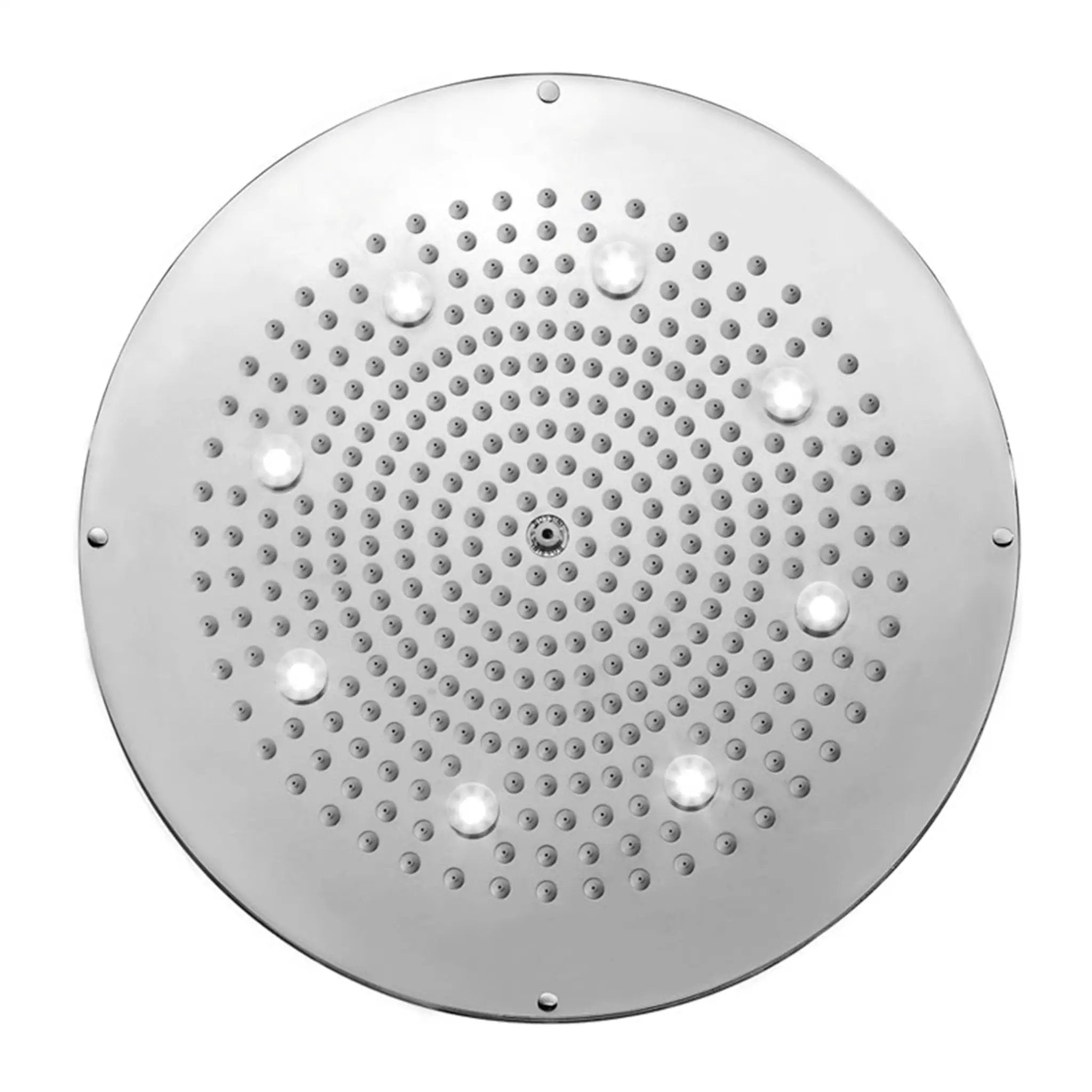 polished chrome shower head