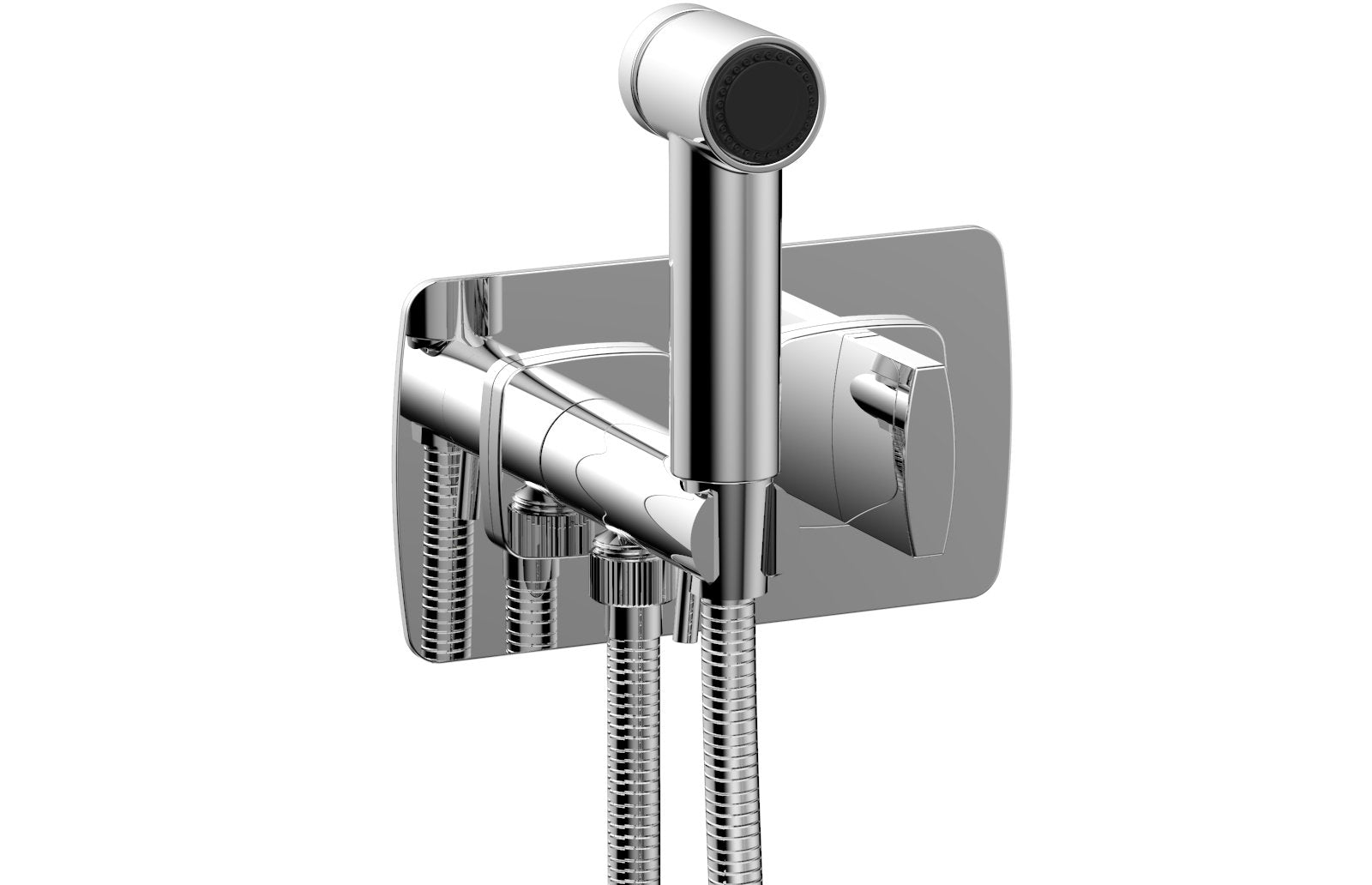 polished chrome bidet