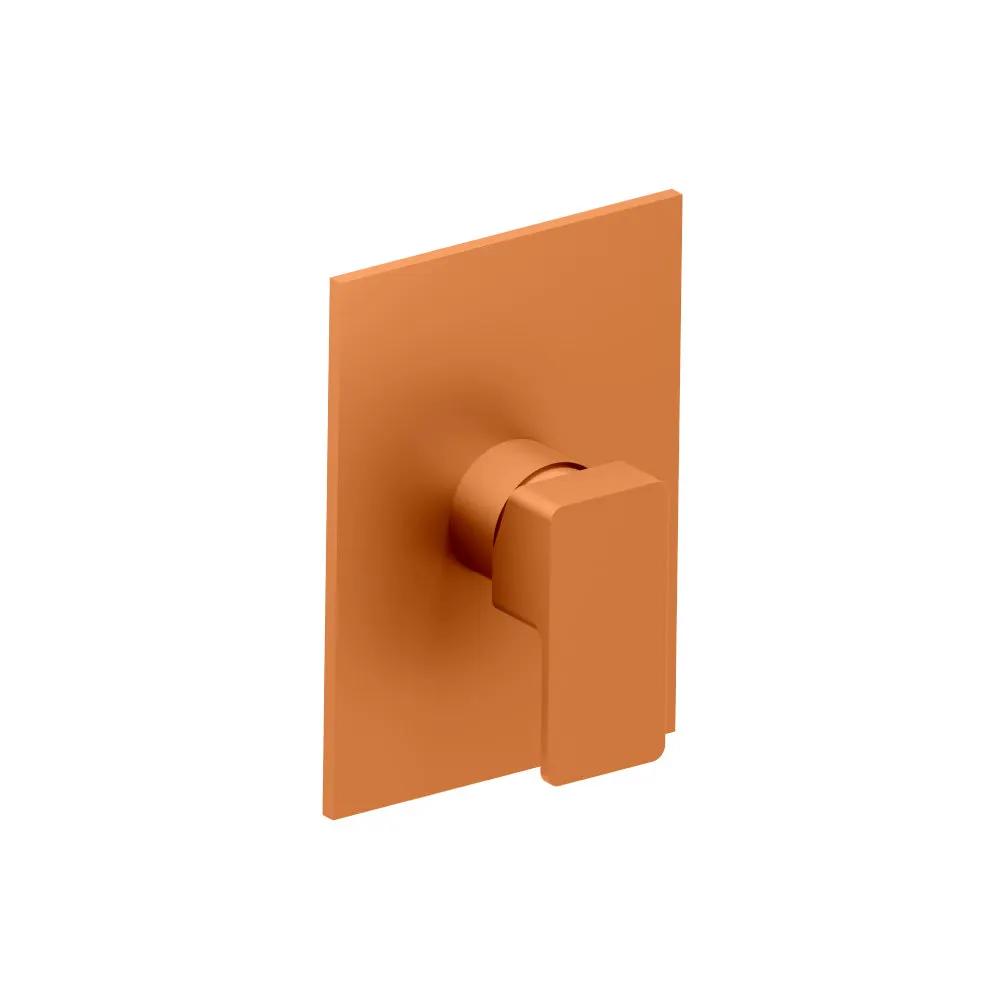 Flusso Serie 196 Shower Trim and Handle - Use with PBV1005AS by Flusso