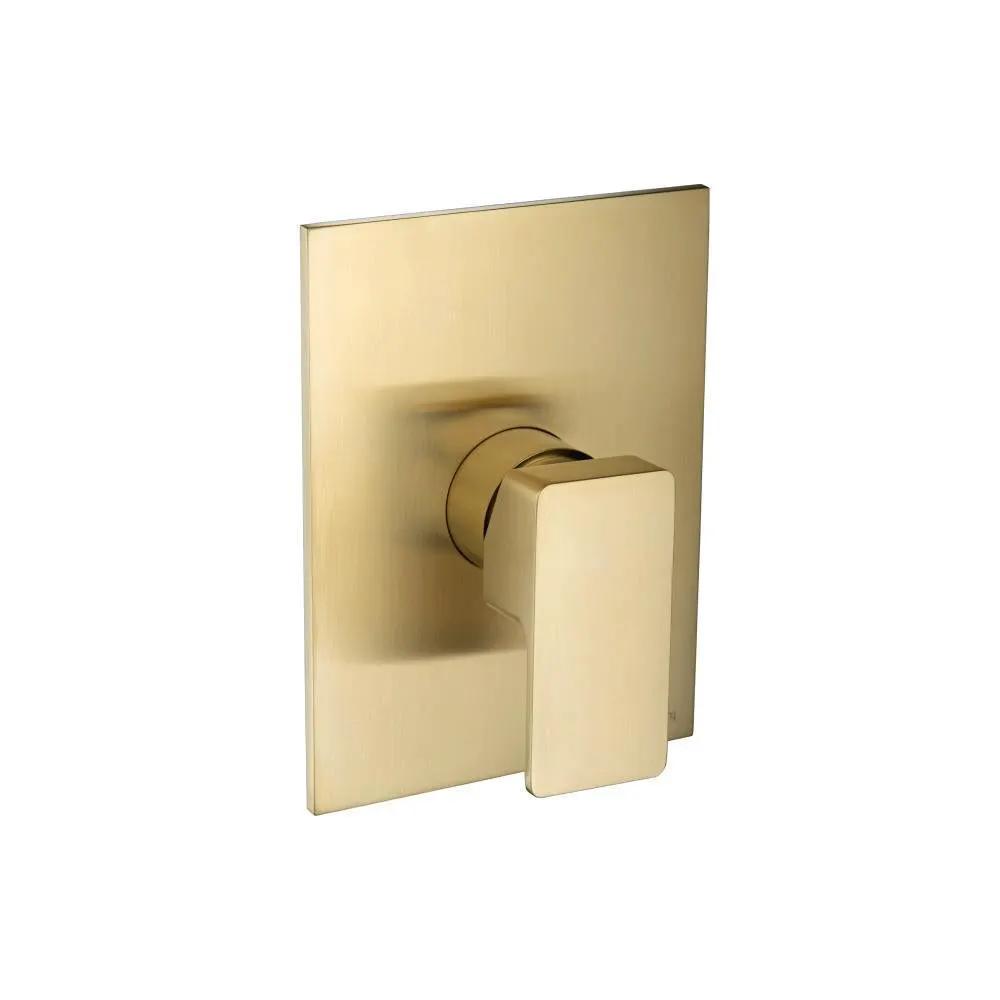 Flusso Serie 196 Shower Trim and Handle - Use with PBV1005AS by Flusso