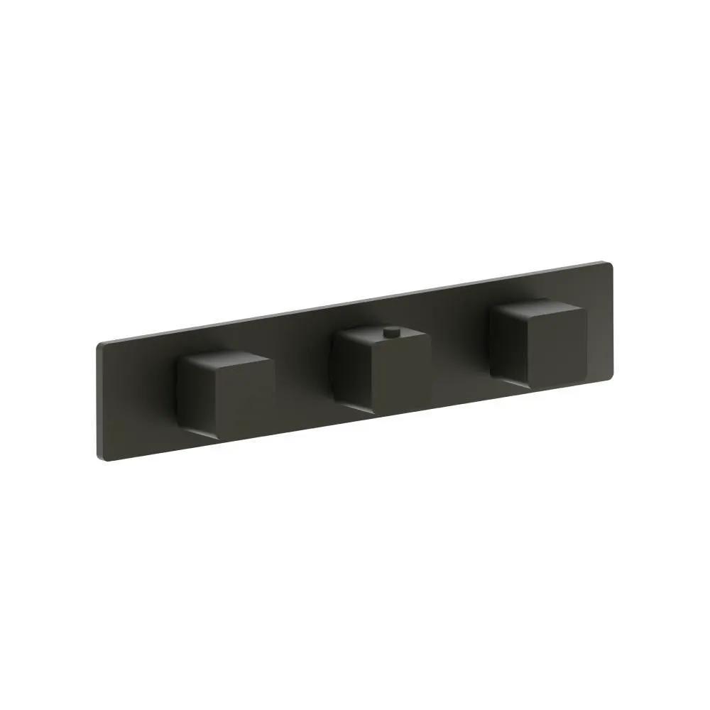 Flusso Serie 196 3/4" Horizontal Thermostatic Valve with 2 Volume Controls and Trim by Flusso