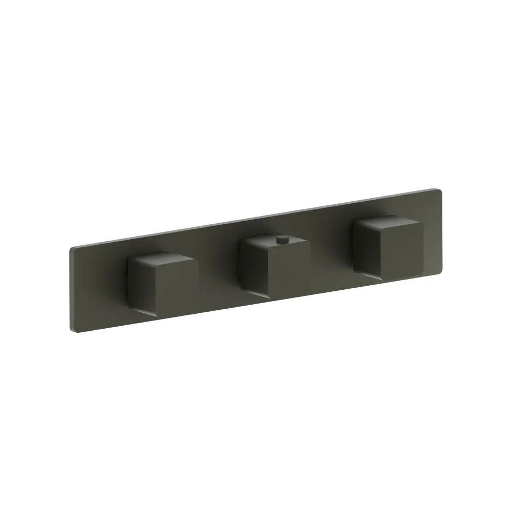 Flusso Serie 196 Trim for Horizontal Thermostatic Valve with 2 Volume Controls by Flusso