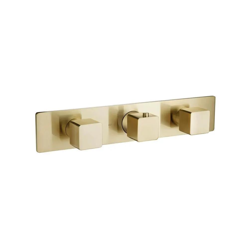 Flusso Serie 196 3/4" Horizontal Thermostatic Valve with 2 Volume Controls and Trim by Flusso