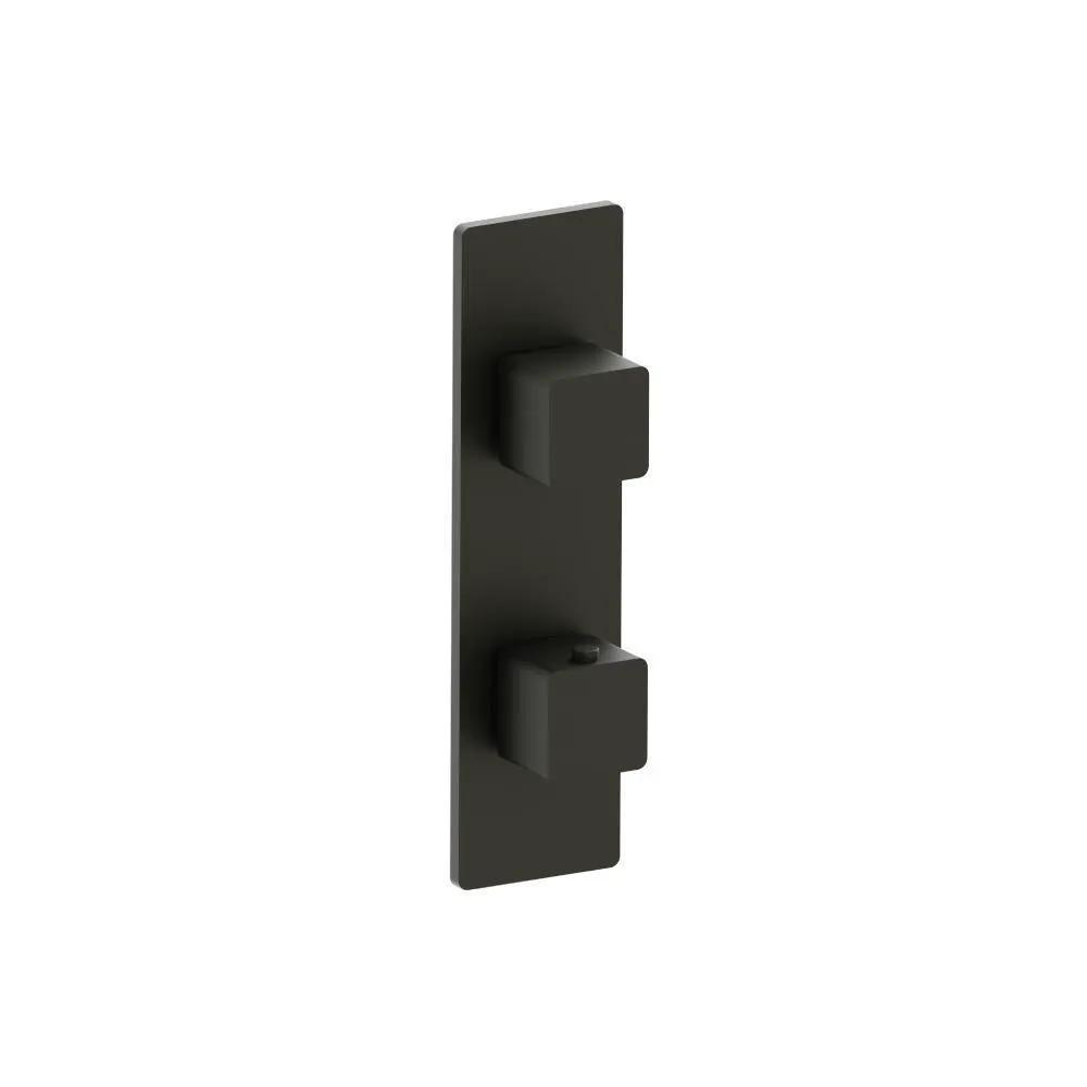 Flusso Serie 196 3/4" Horizontal Thermostatic Shower Valve and Trim - 1- Output by Flusso