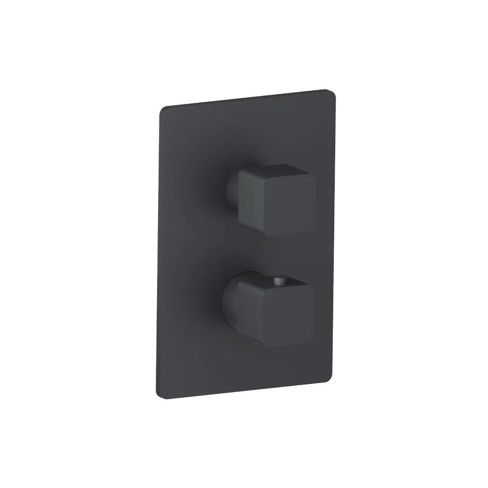 Flusso Serie 196 Trim for Thermostatic Valve by Flusso
