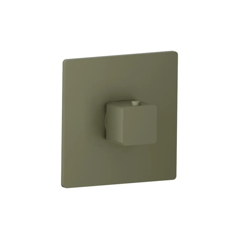 Flusso Serie 196 3/4" Thermostatic Valve with Trim by Flusso