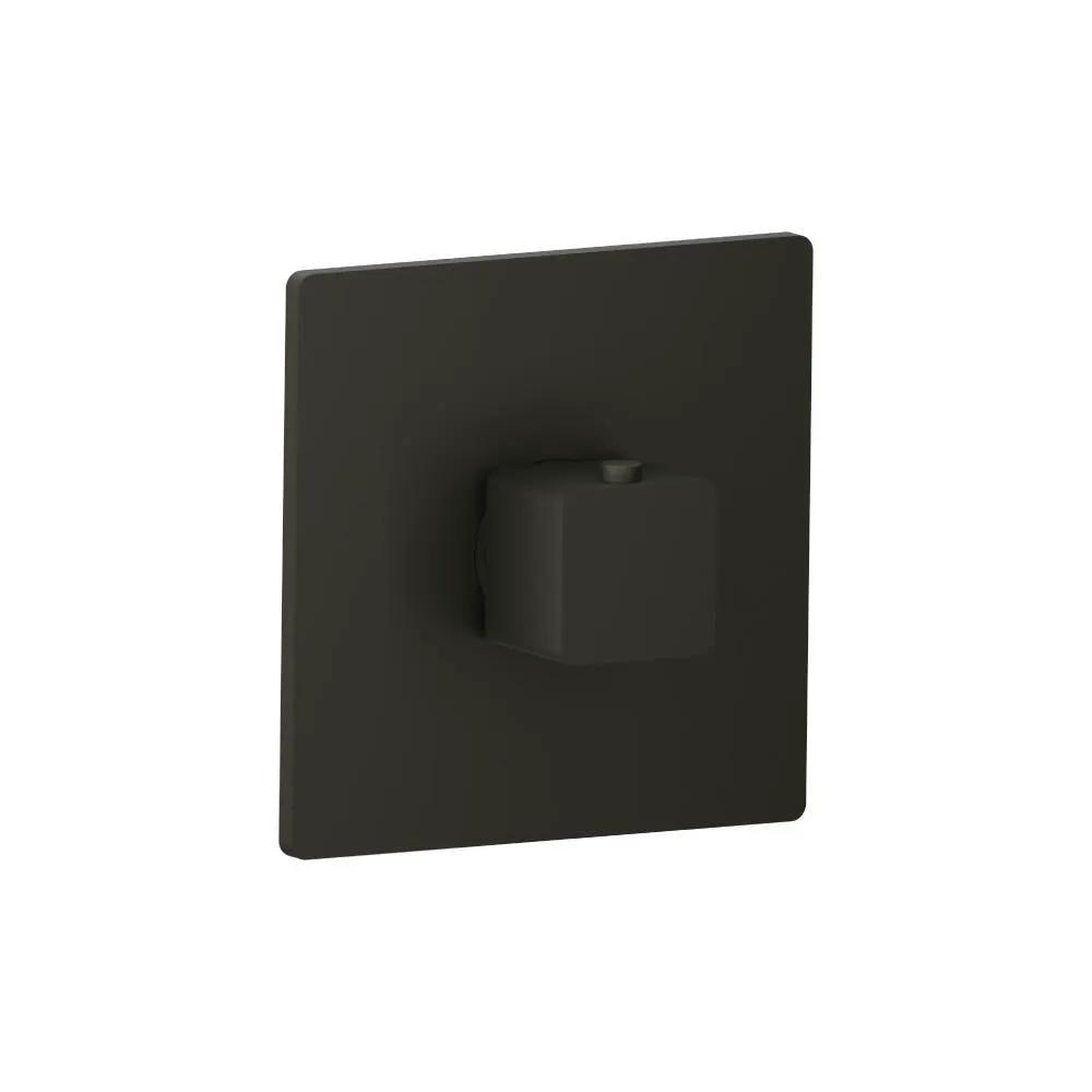 Flusso Serie 196 3/4" Thermostatic Valve with Trim by Flusso