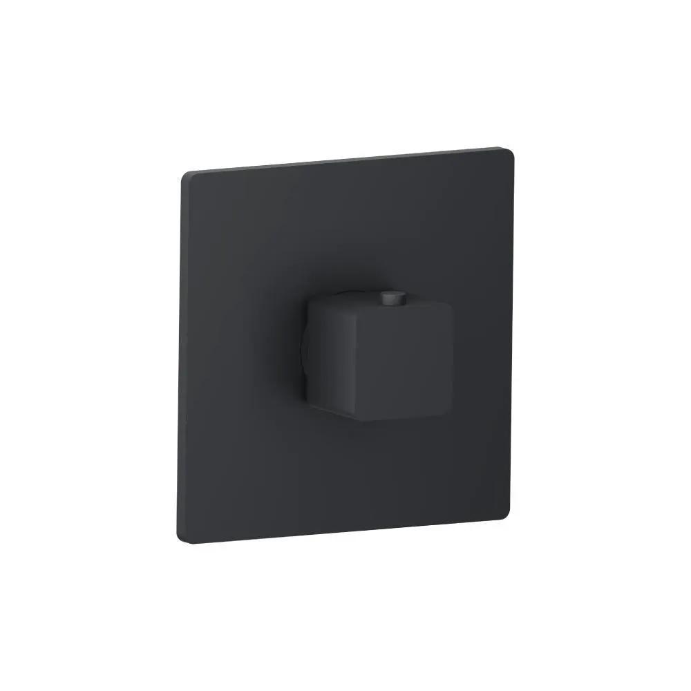 Flusso Serie 196 3/4" Thermostatic Valve with Trim by Flusso