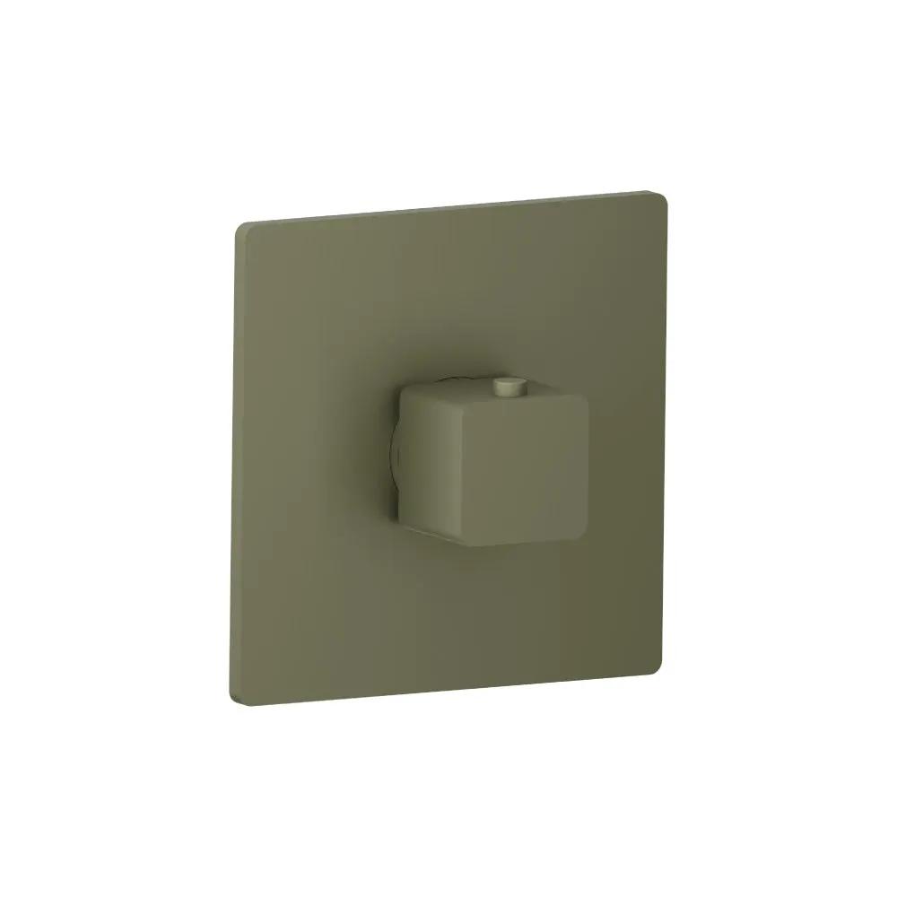 Flusso Serie 196 Trim for 3/4" Thermostatic Valve - Use with TVH.4201 by Flusso